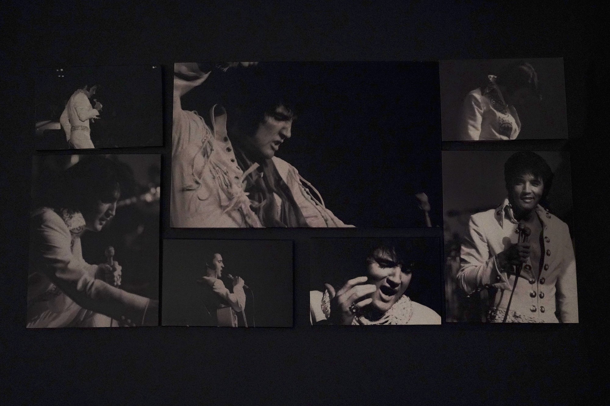 Graceland - Elvis Museum (48)