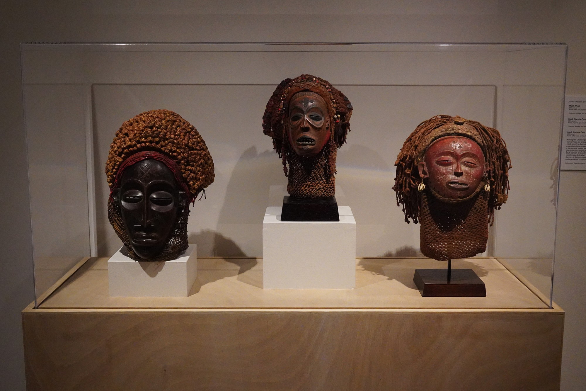 Montgomery Museum of Fine Arts (45)