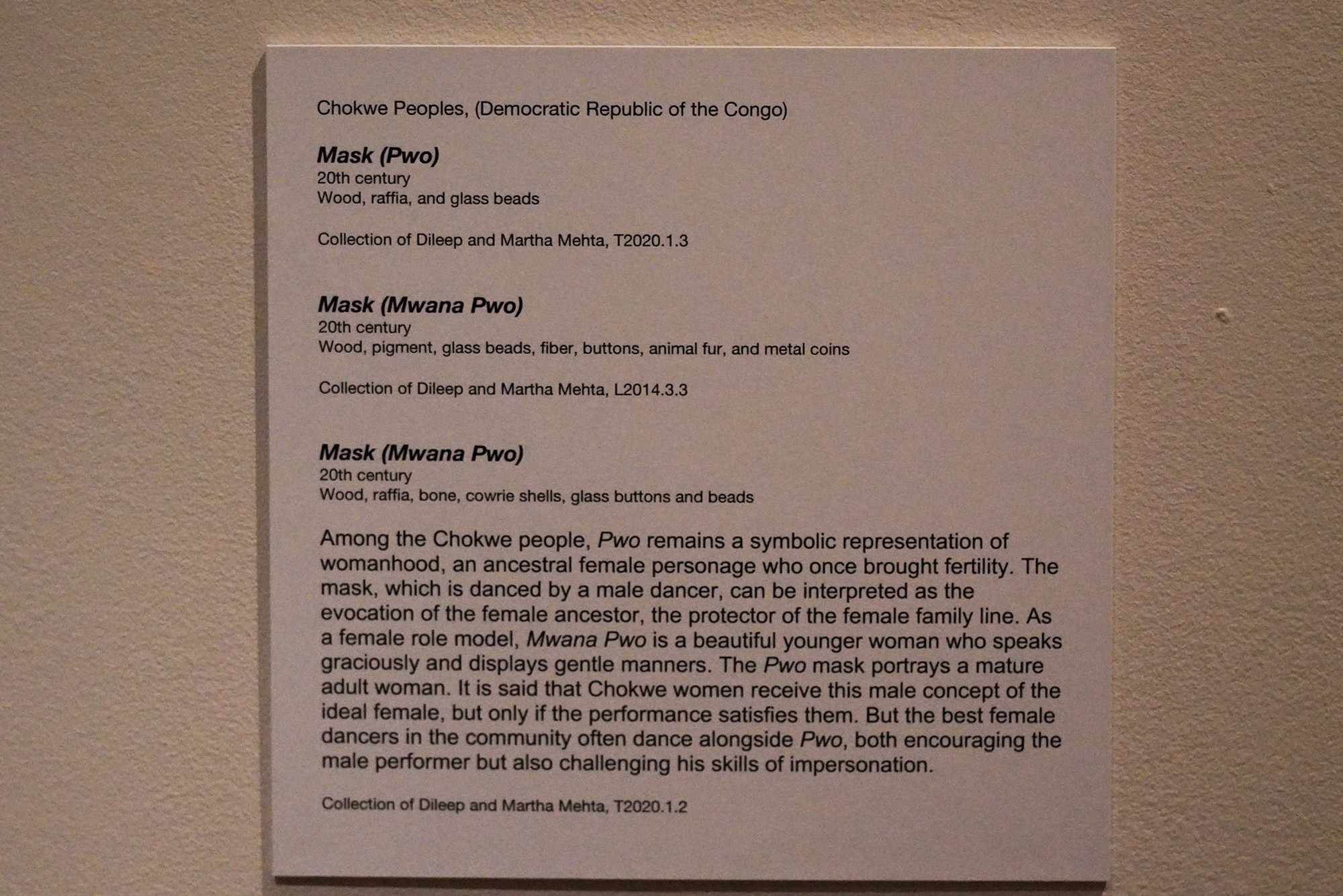 Montgomery Museum of Fine Arts (46)