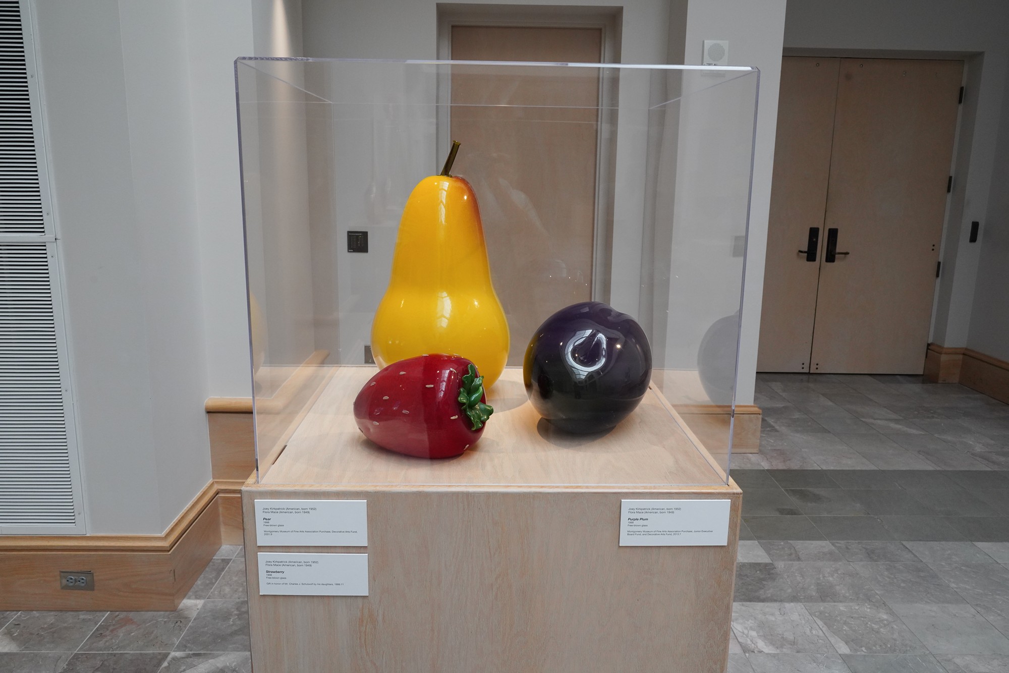 Montgomery Museum of Fine Arts (49)