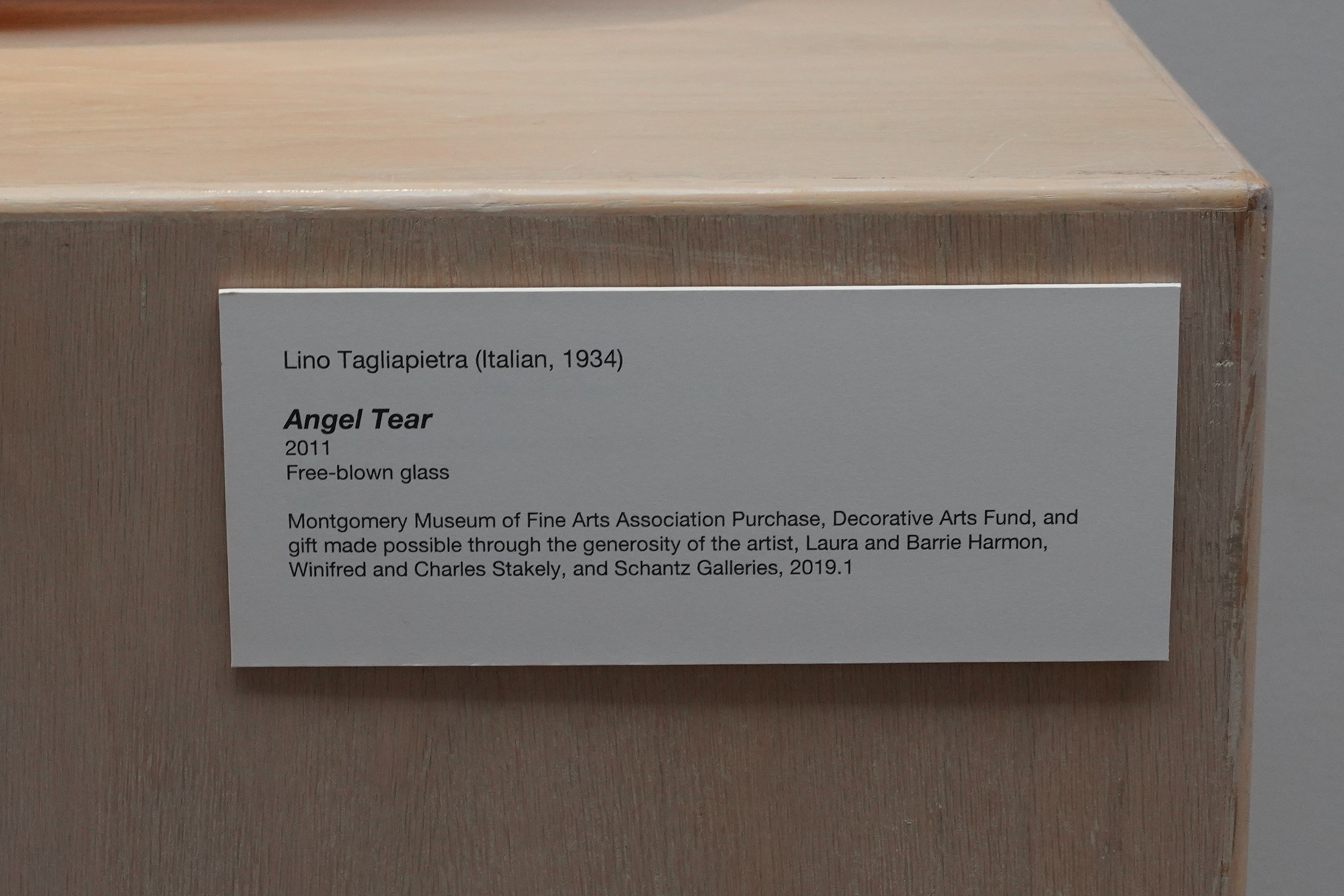 Montgomery Museum of Fine Arts (52)