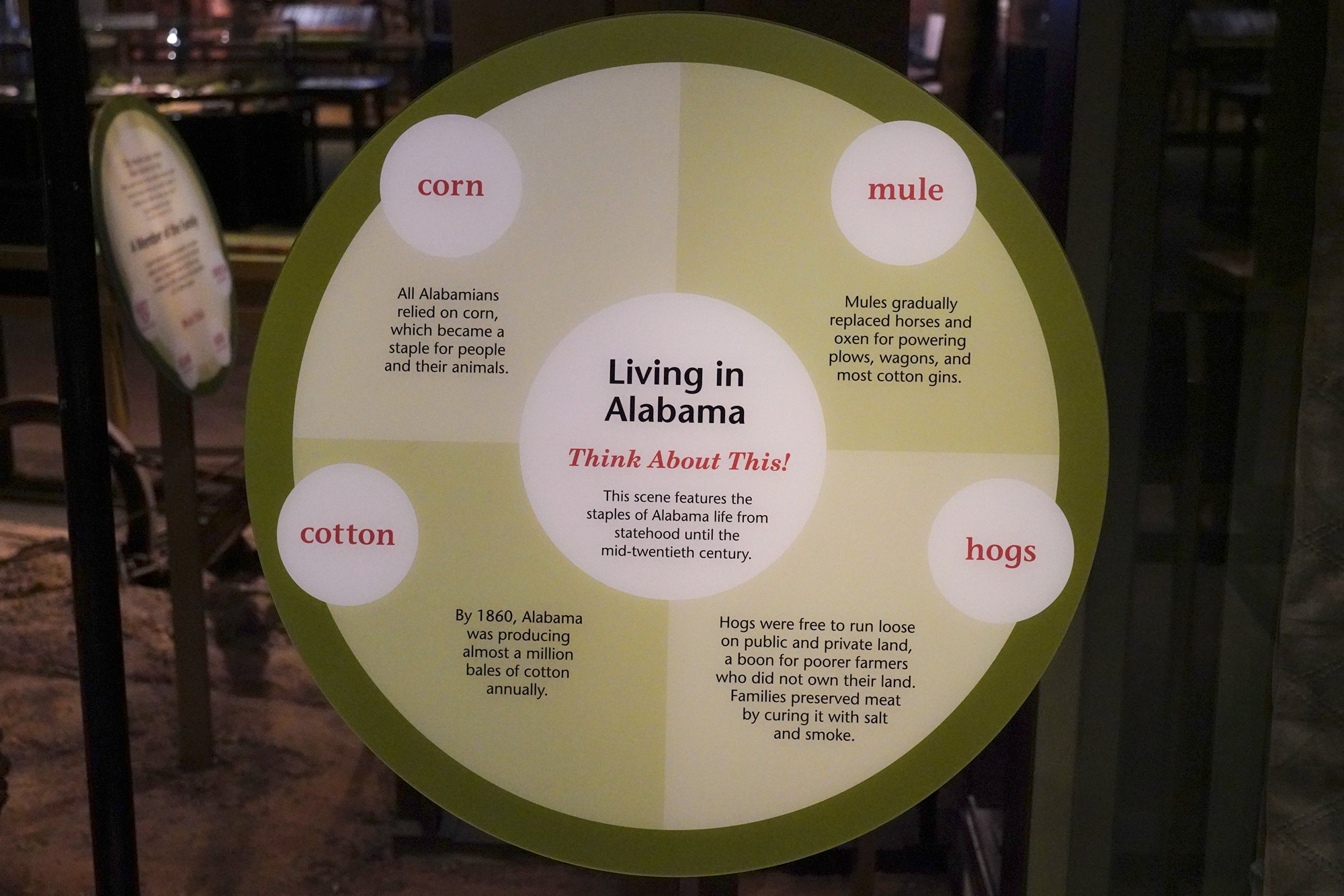 Museum of Alabama (37)