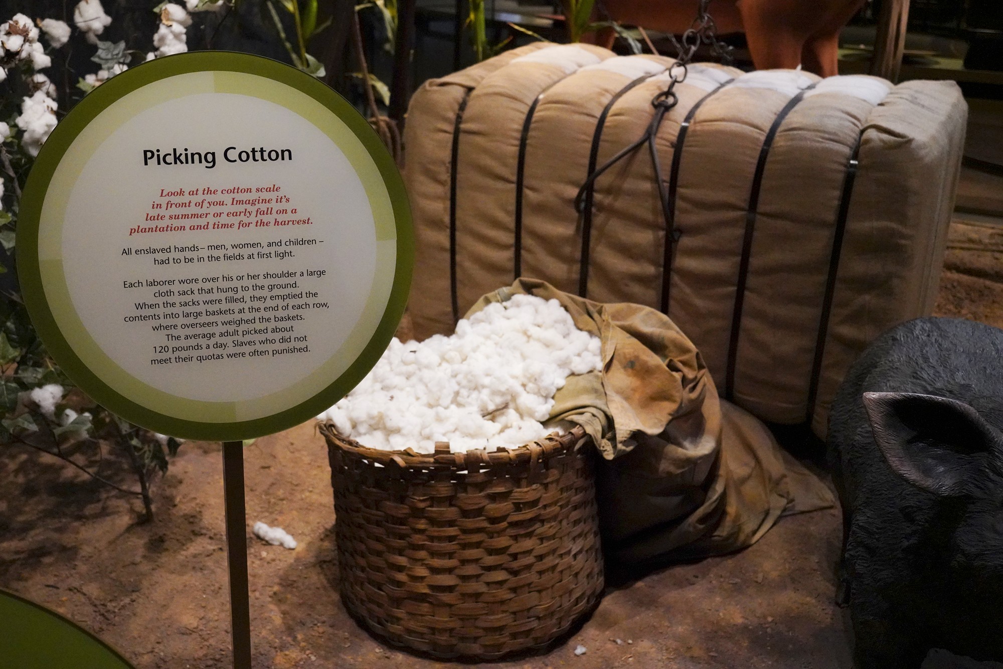 Museum of Alabama (40)