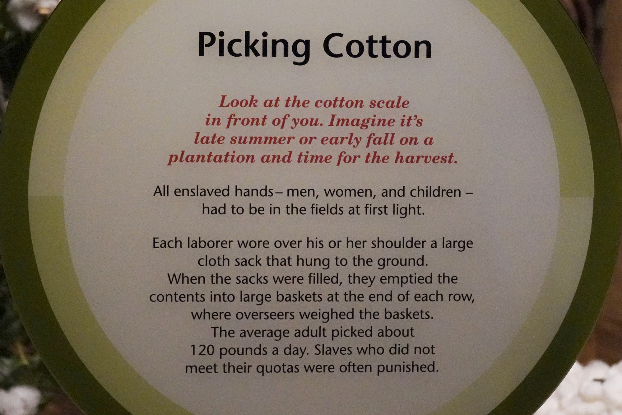 Museum of Alabama (41)