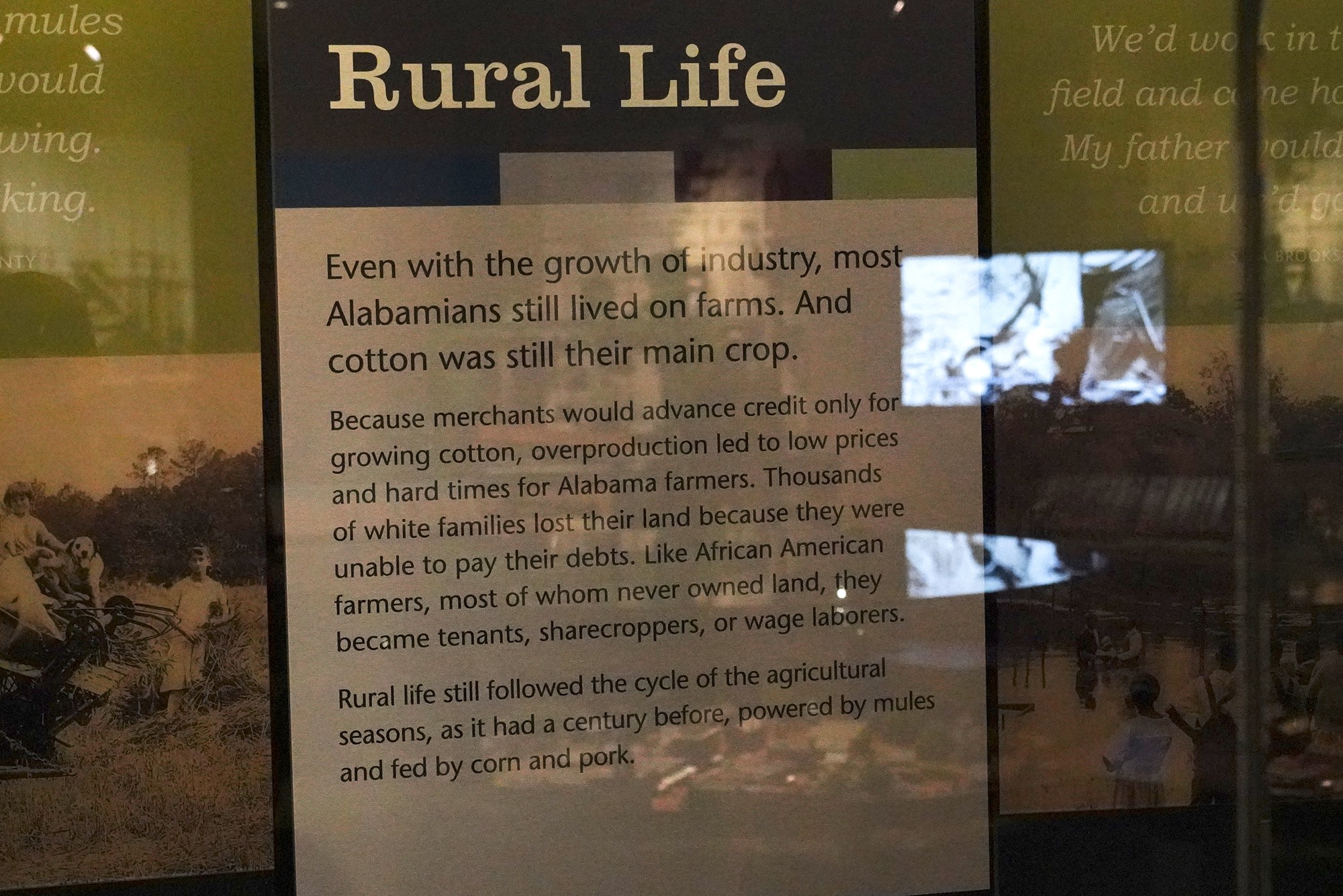 Museum of Alabama (76)
