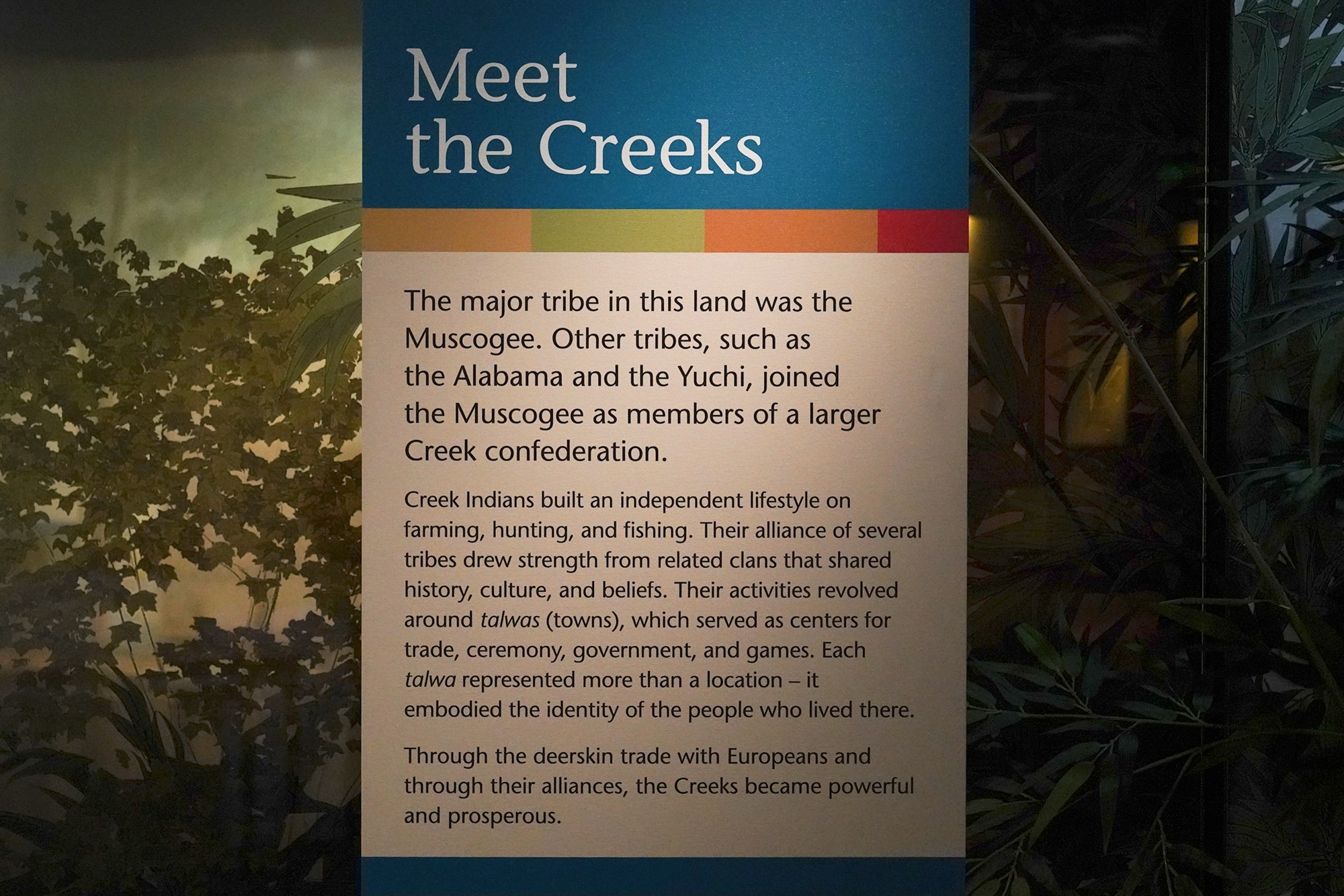 Museum of Alabama (8)