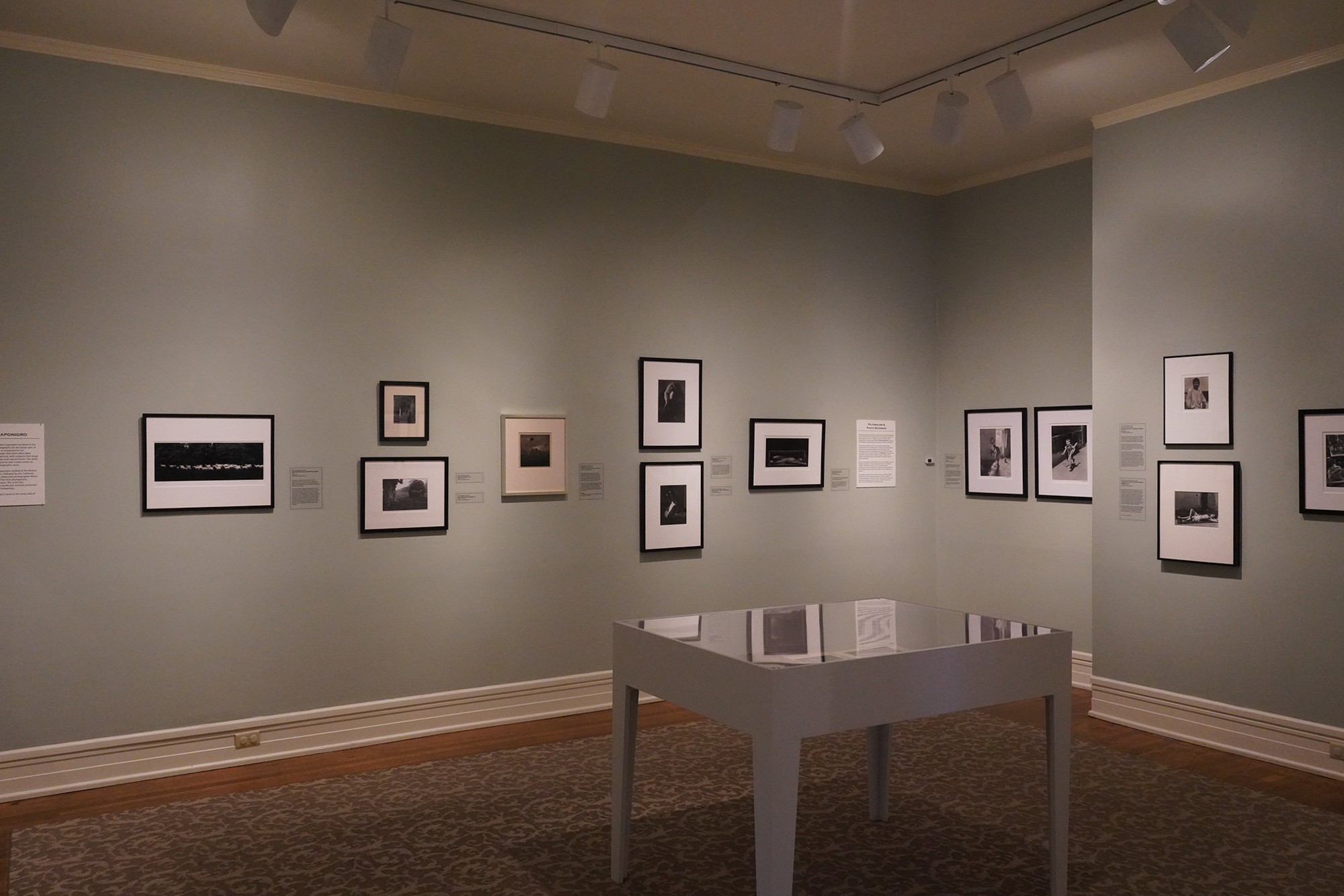 Hunter Museum of American Art (141)