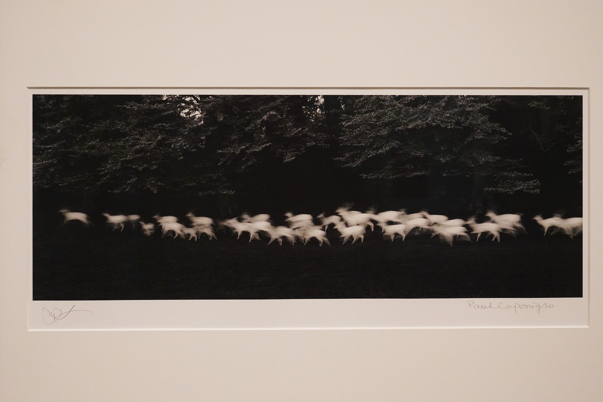 Hunter Museum of American Art (149)