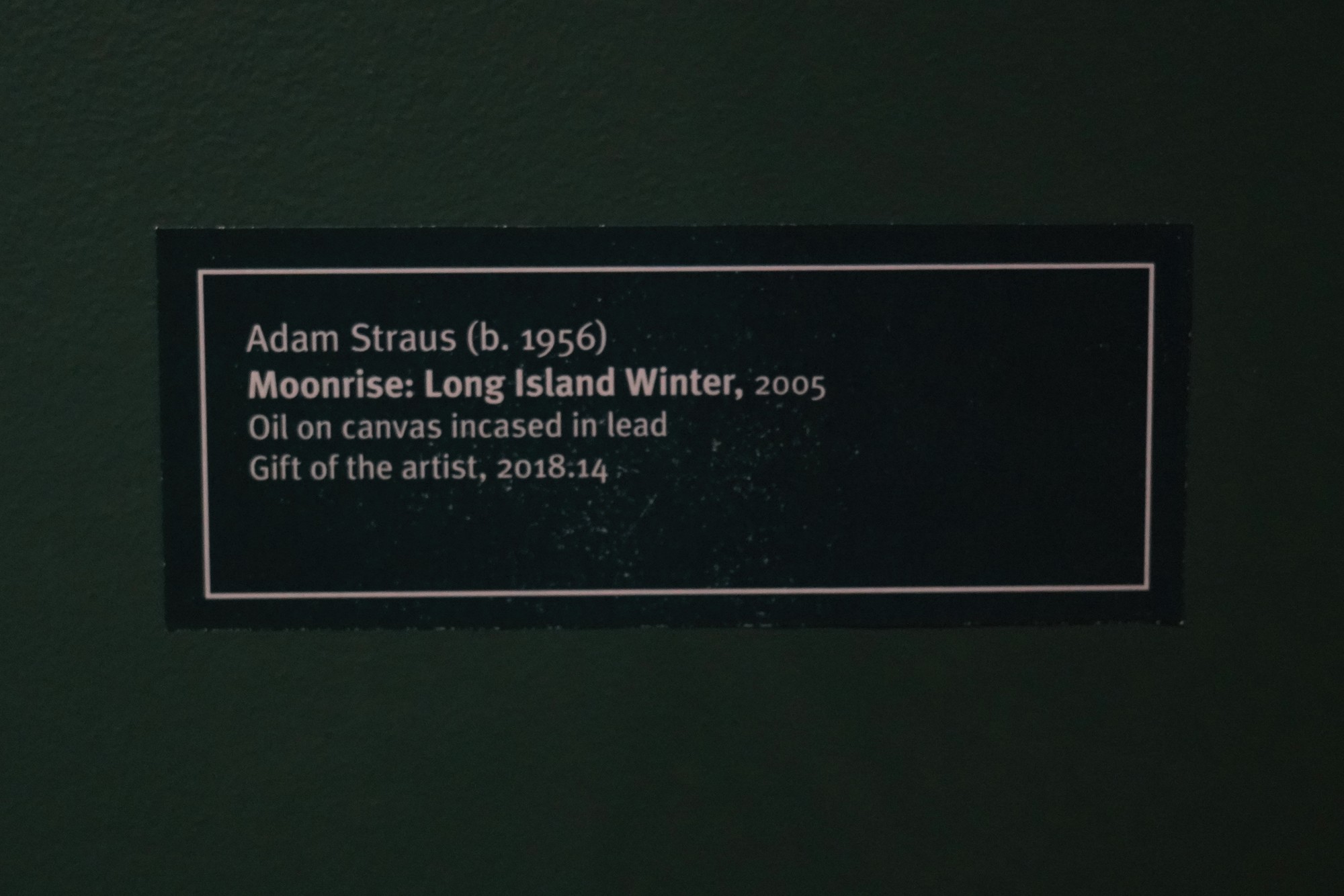 Hunter Museum of American Art (39)