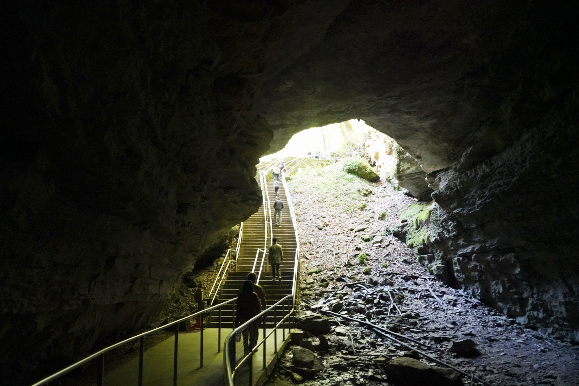Mammoth Cave National Park (43)