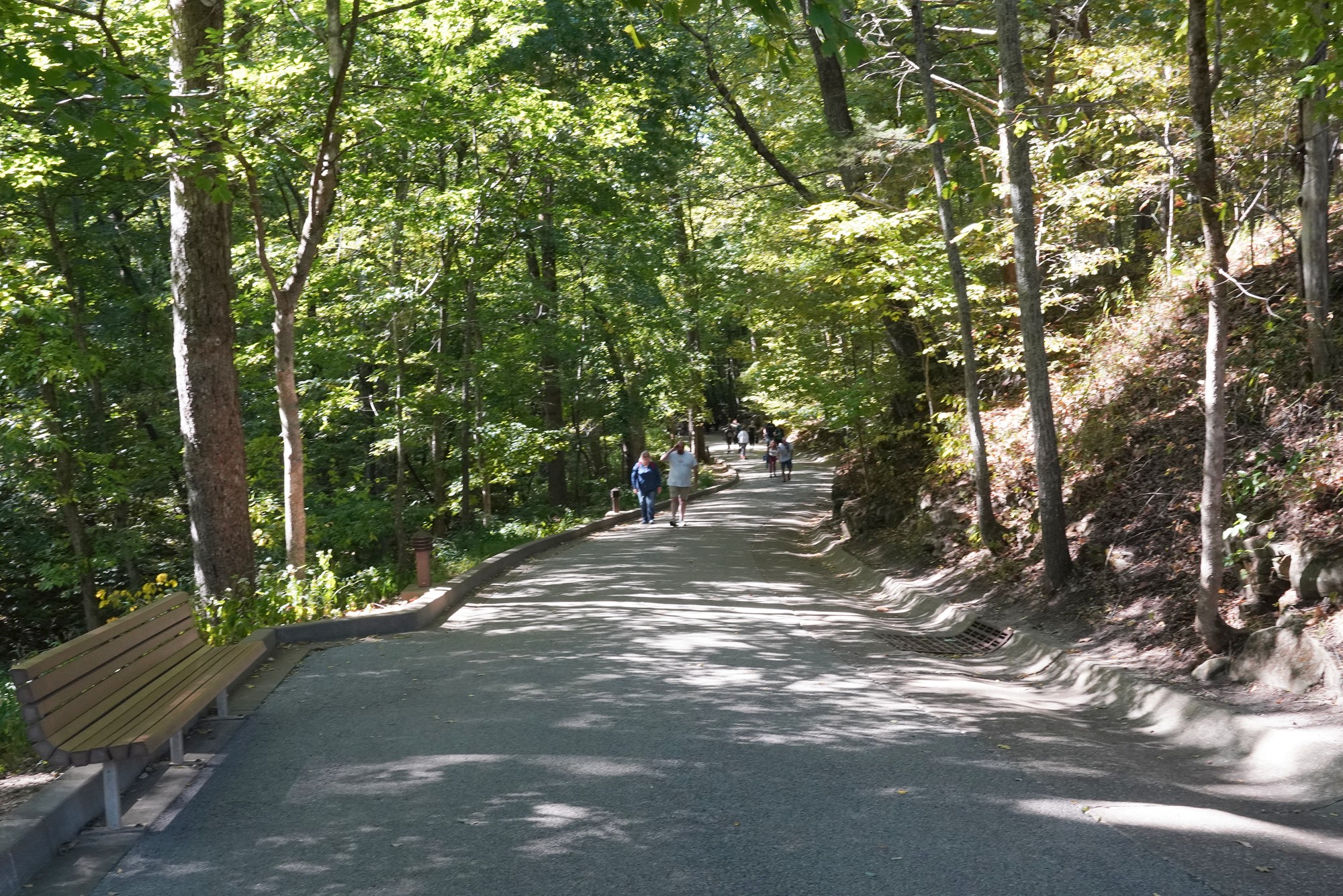 Mammoth Cave National Park (47)