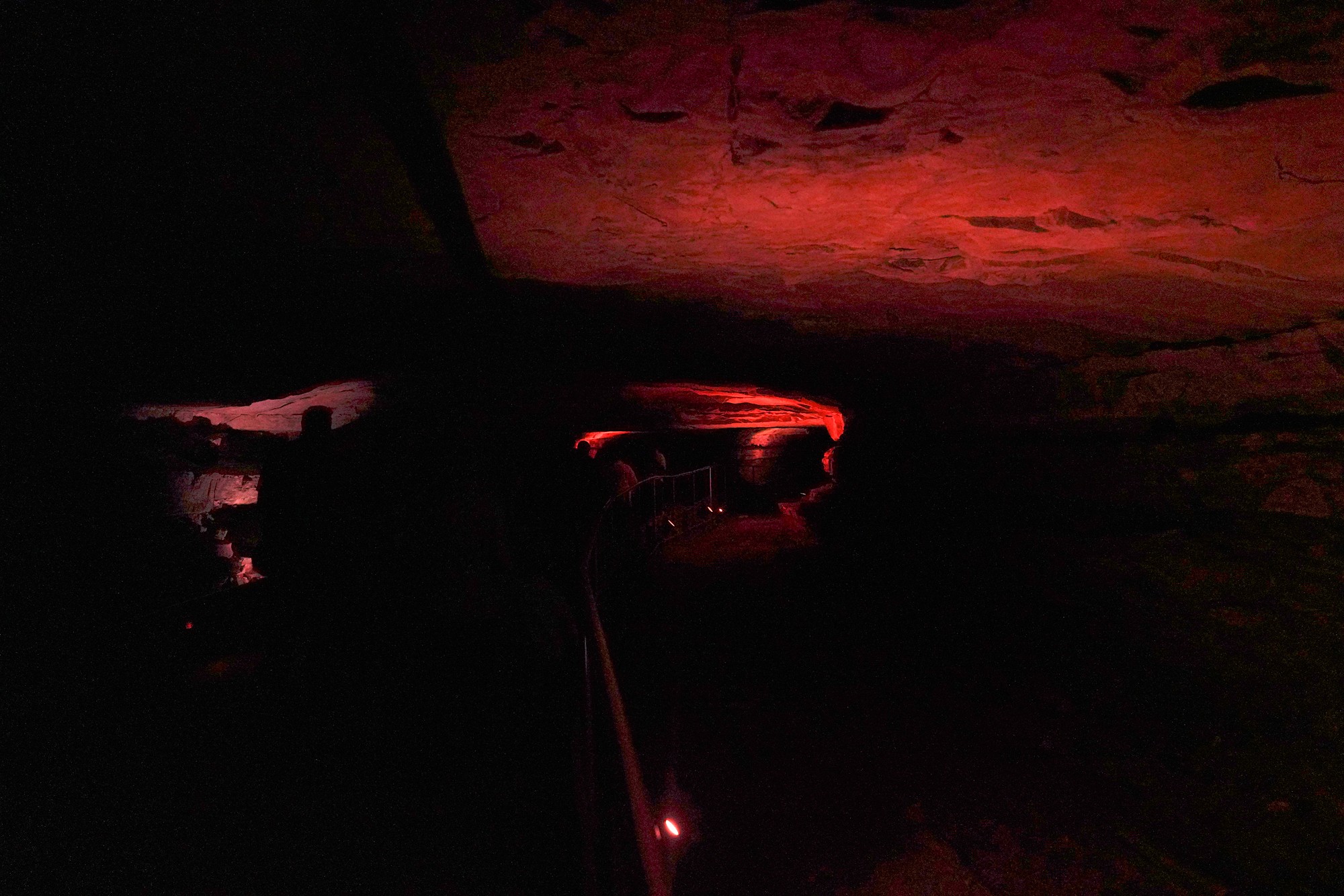Mammoth Cave National Park (6)