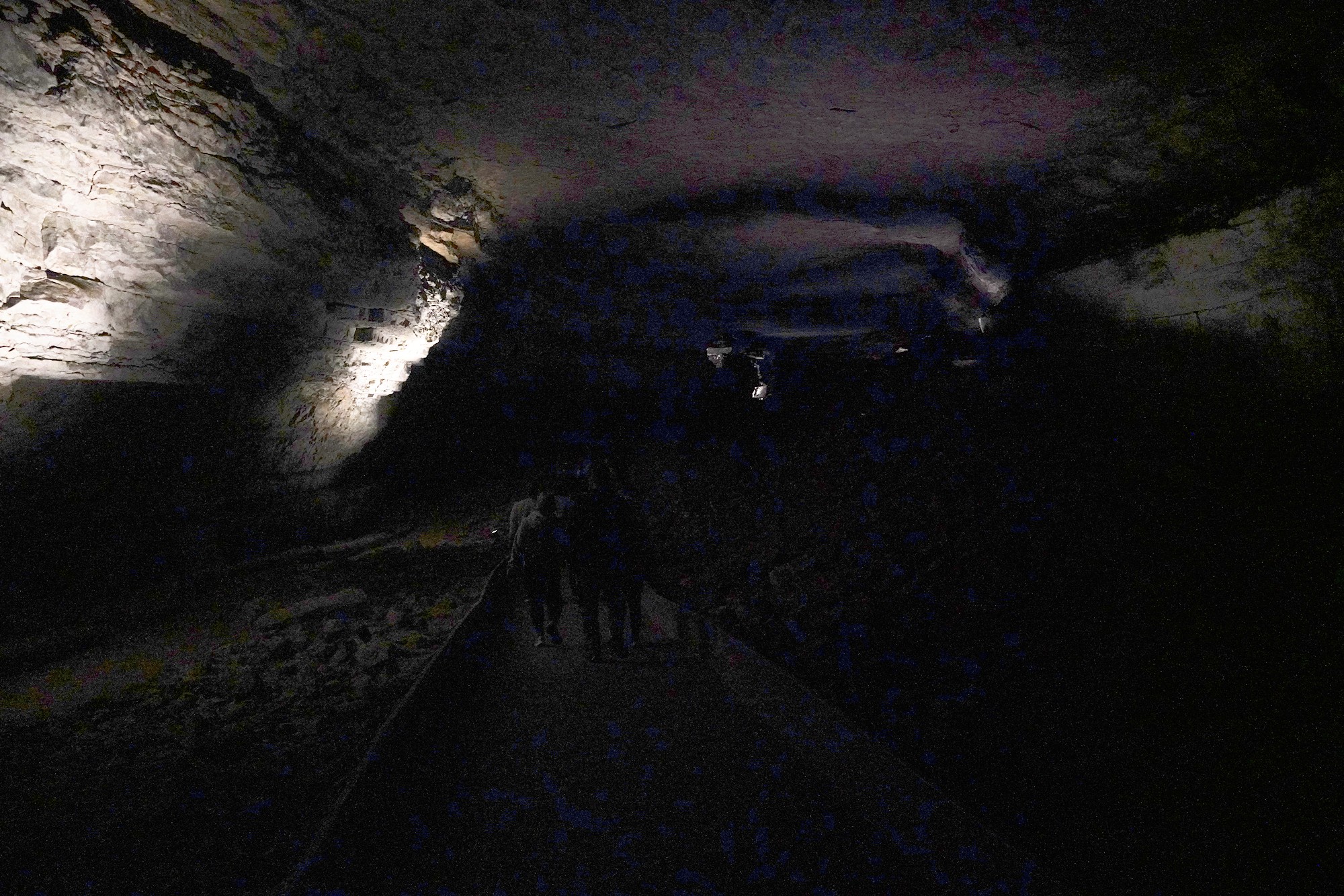 Mammoth Cave National Park (7)