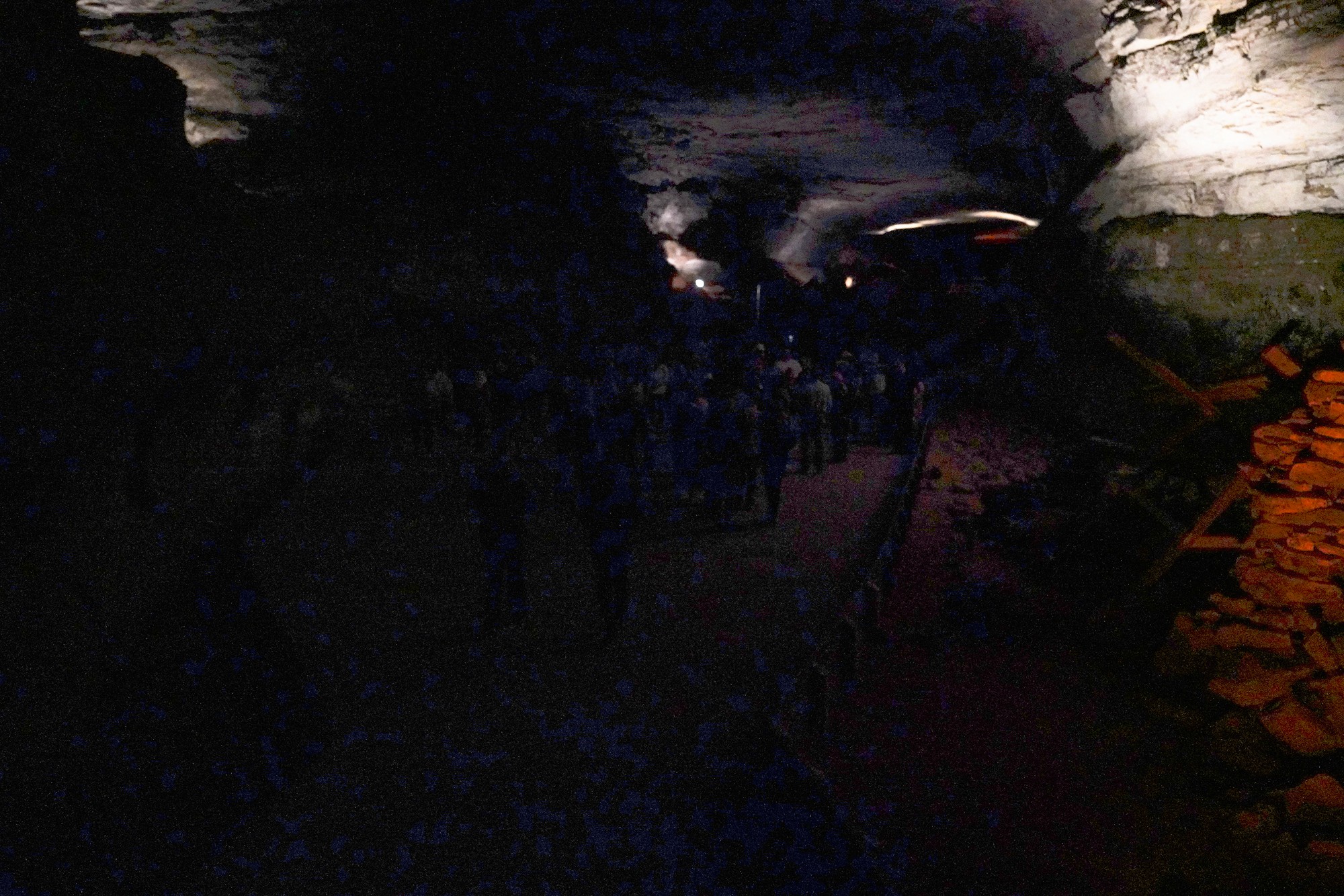 Mammoth Cave National Park (8)