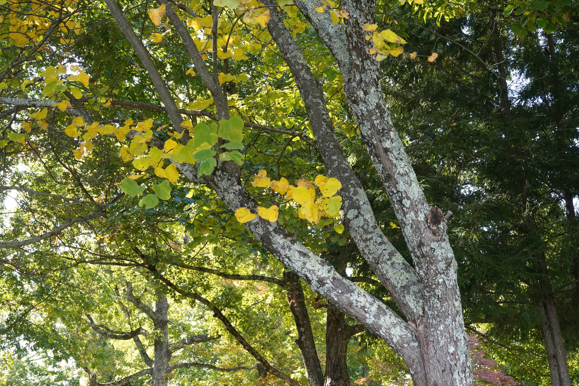 Point Park (15)