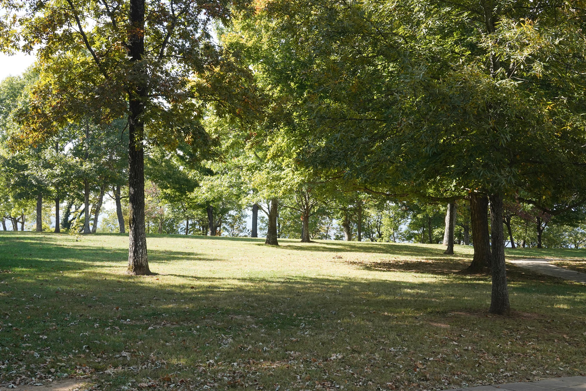 Point Park (7)