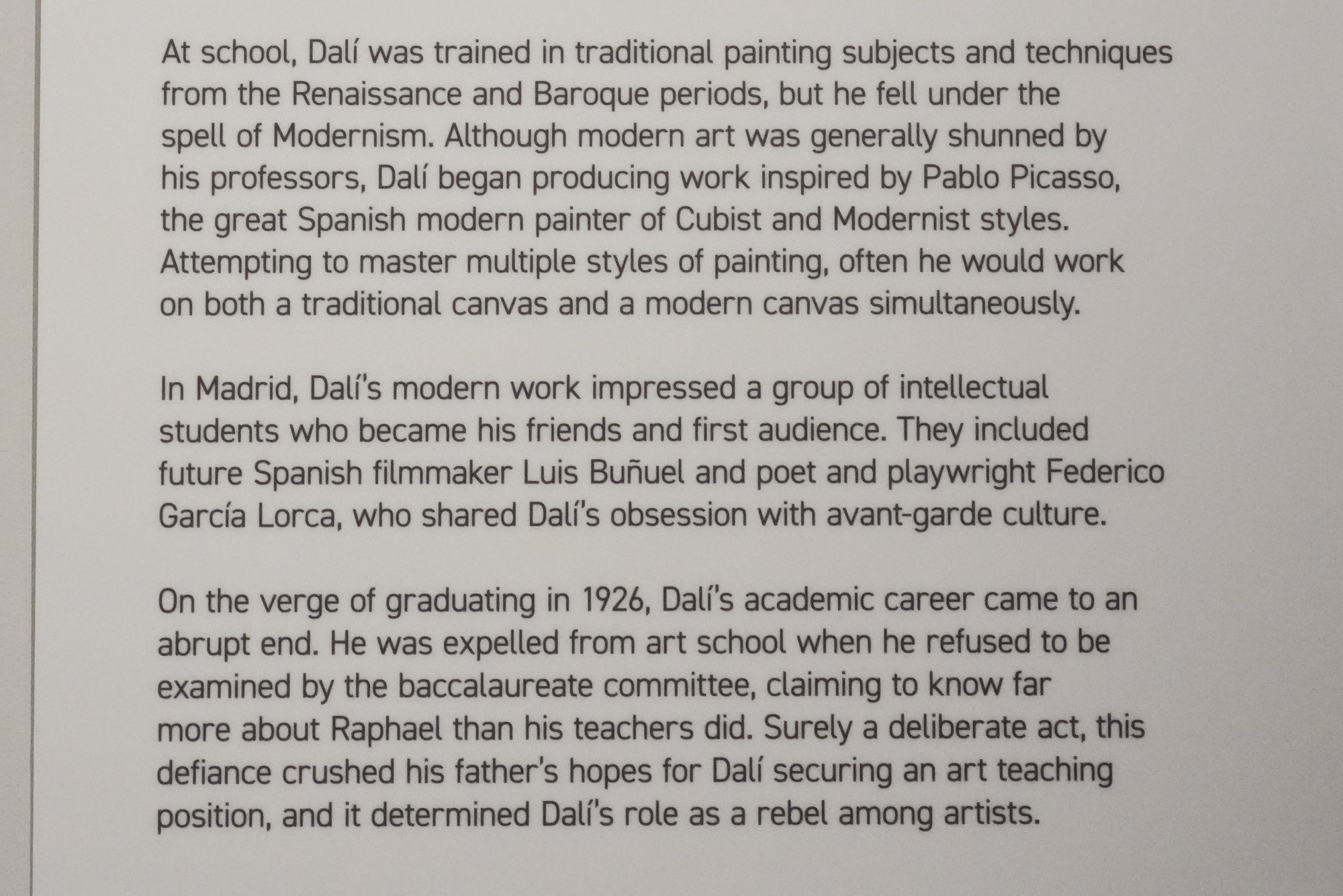 The Dalí Museum (14)