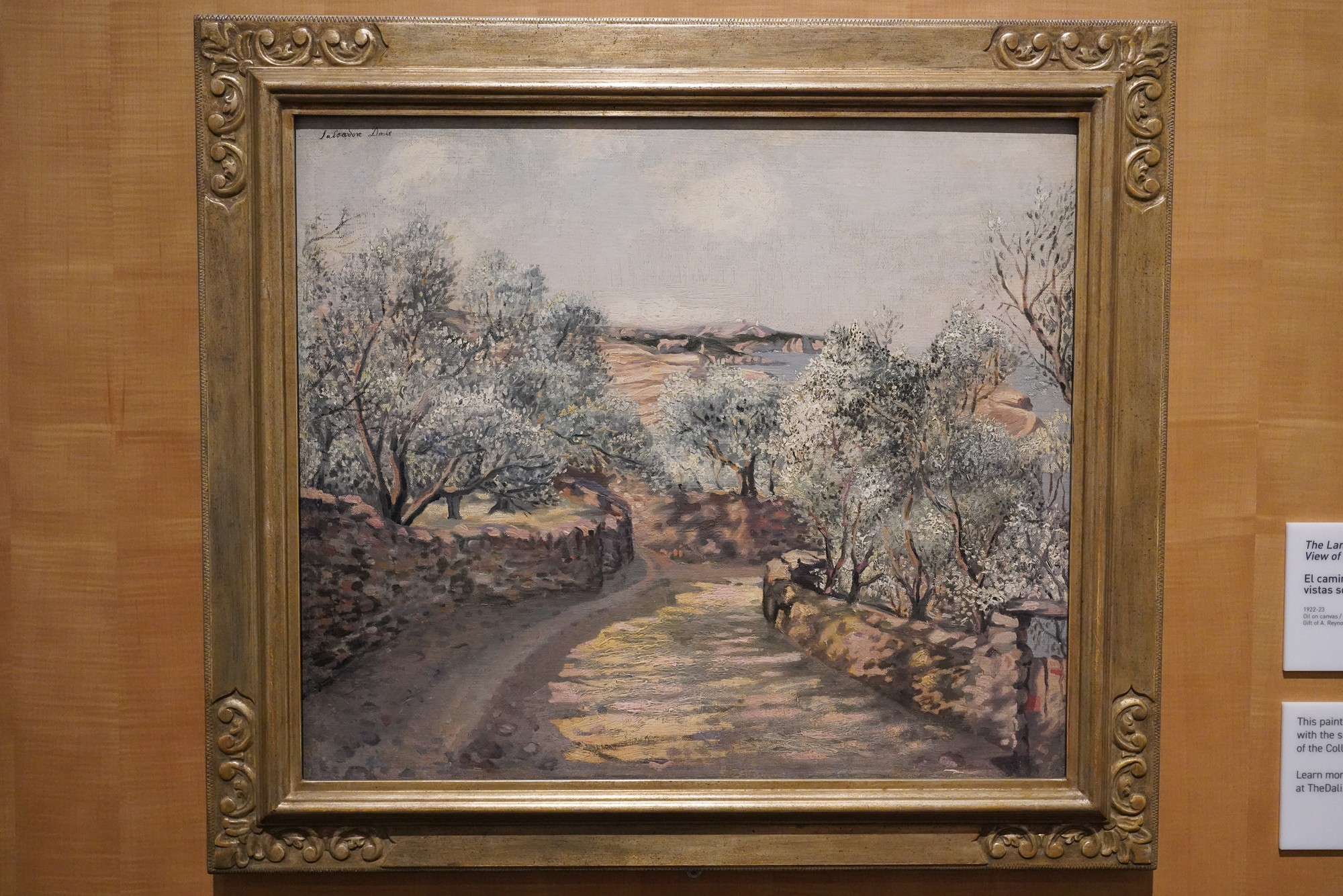 The Dalí Museum (21)