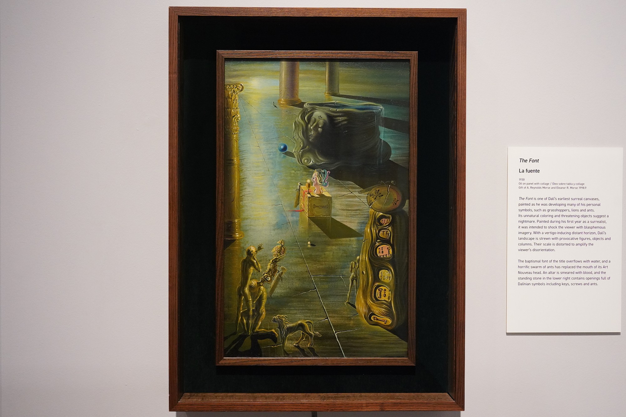 The Dalí Museum (42)
