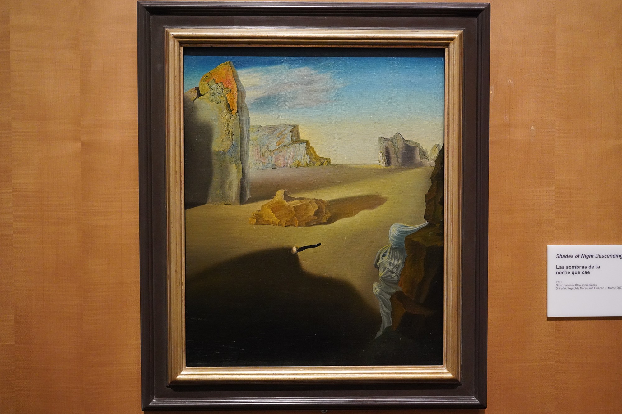 The Dalí Museum (45)