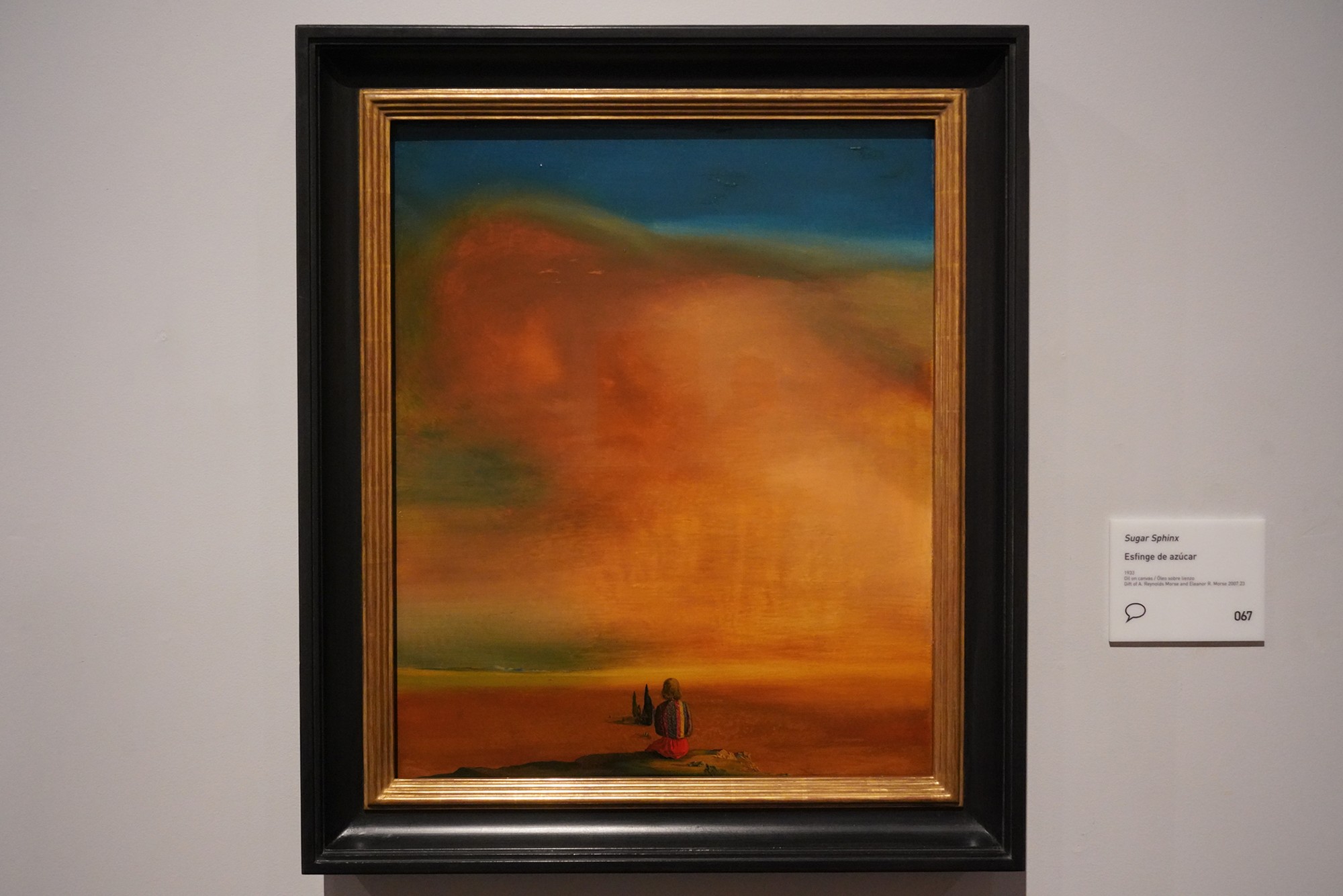The Dalí Museum (49)