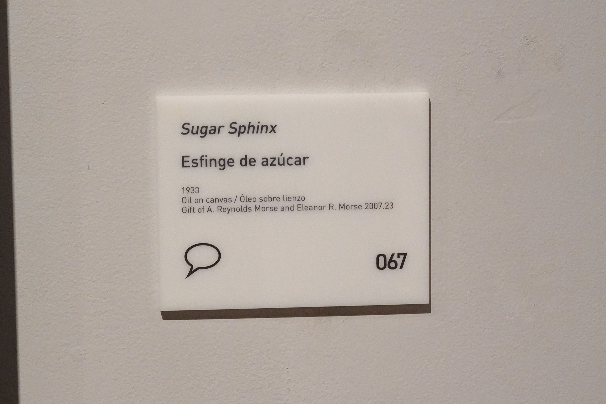 The Dalí Museum (50)