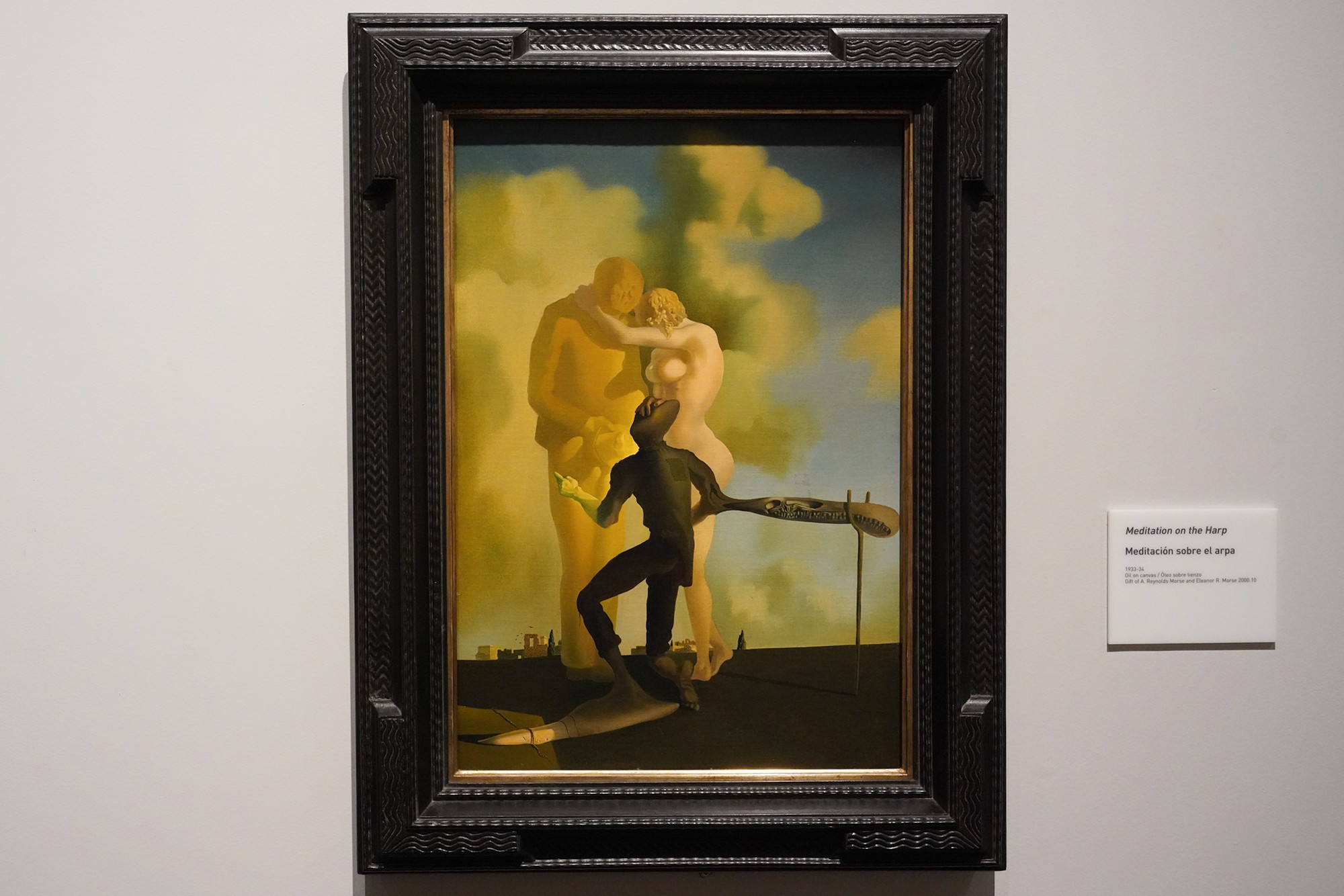 The Dalí Museum (51)