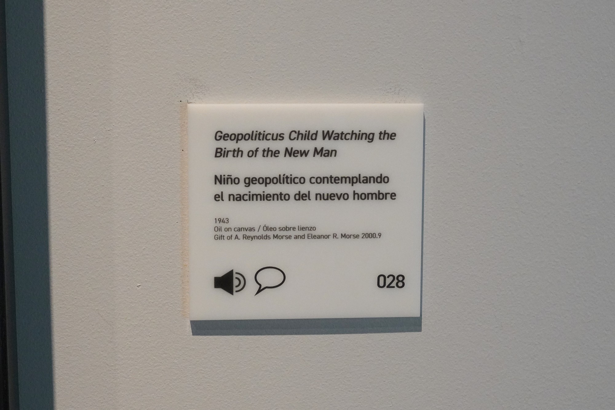 The Dalí Museum (58)