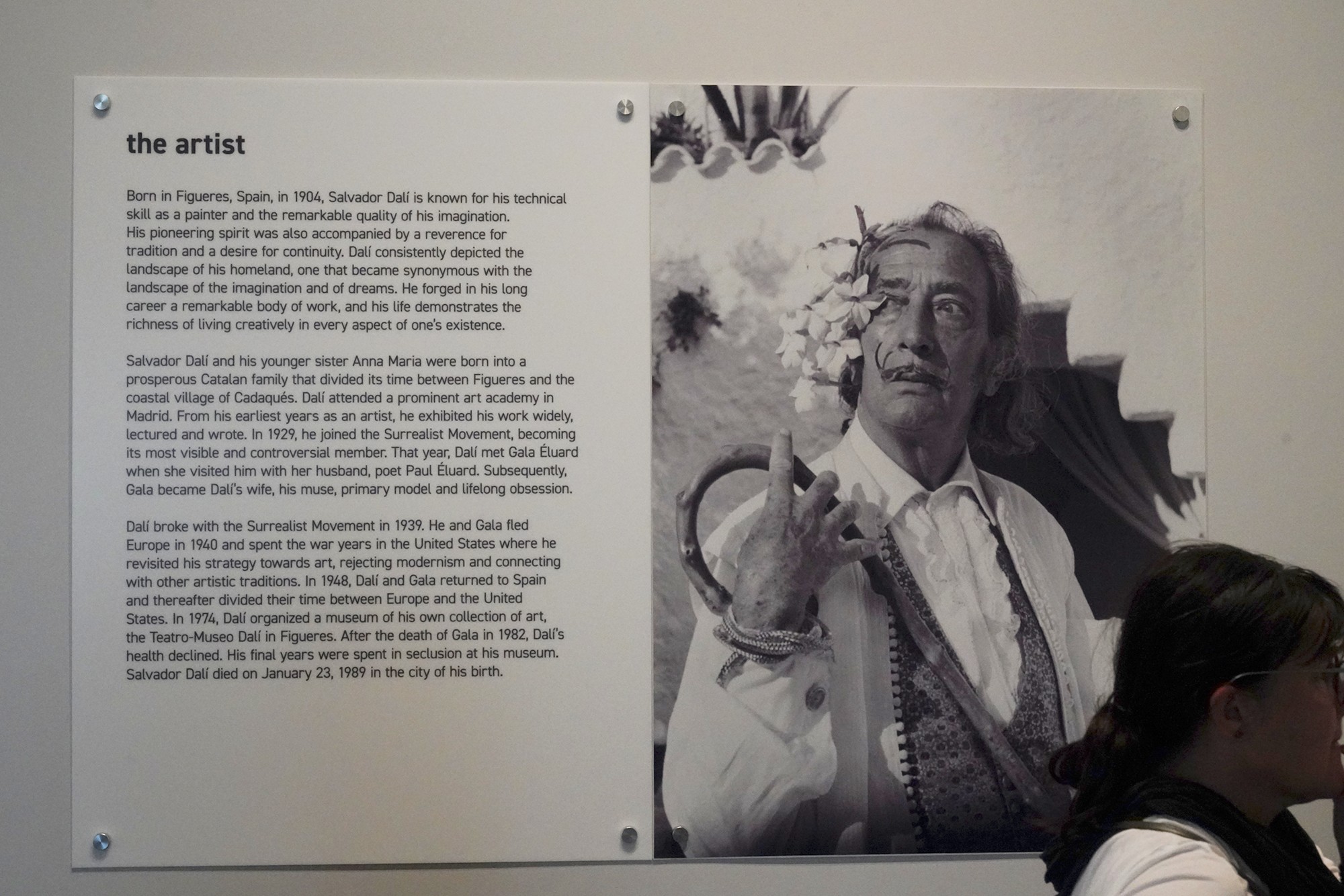 The Dalí Museum (9)