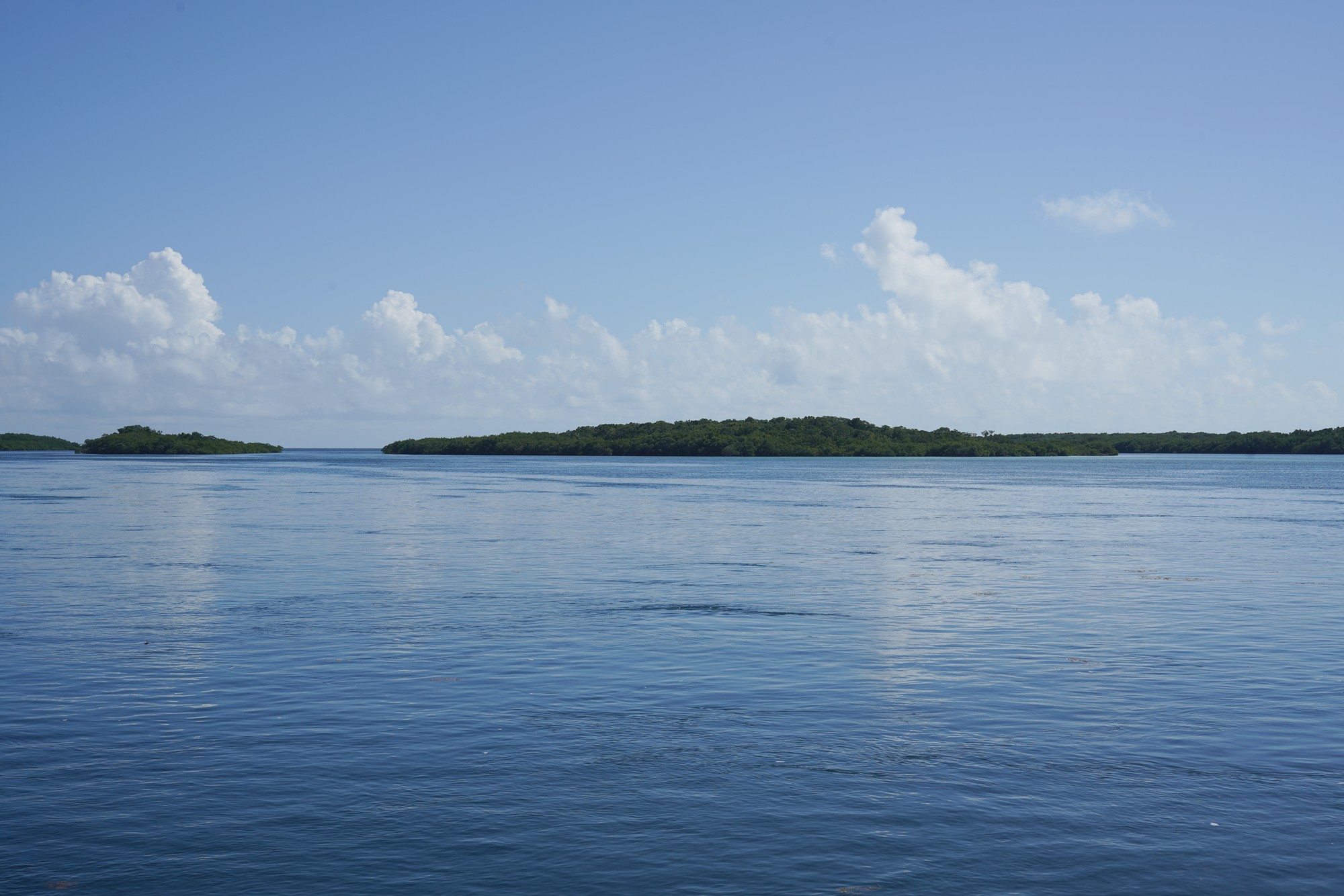 Biscayne National Park (11)