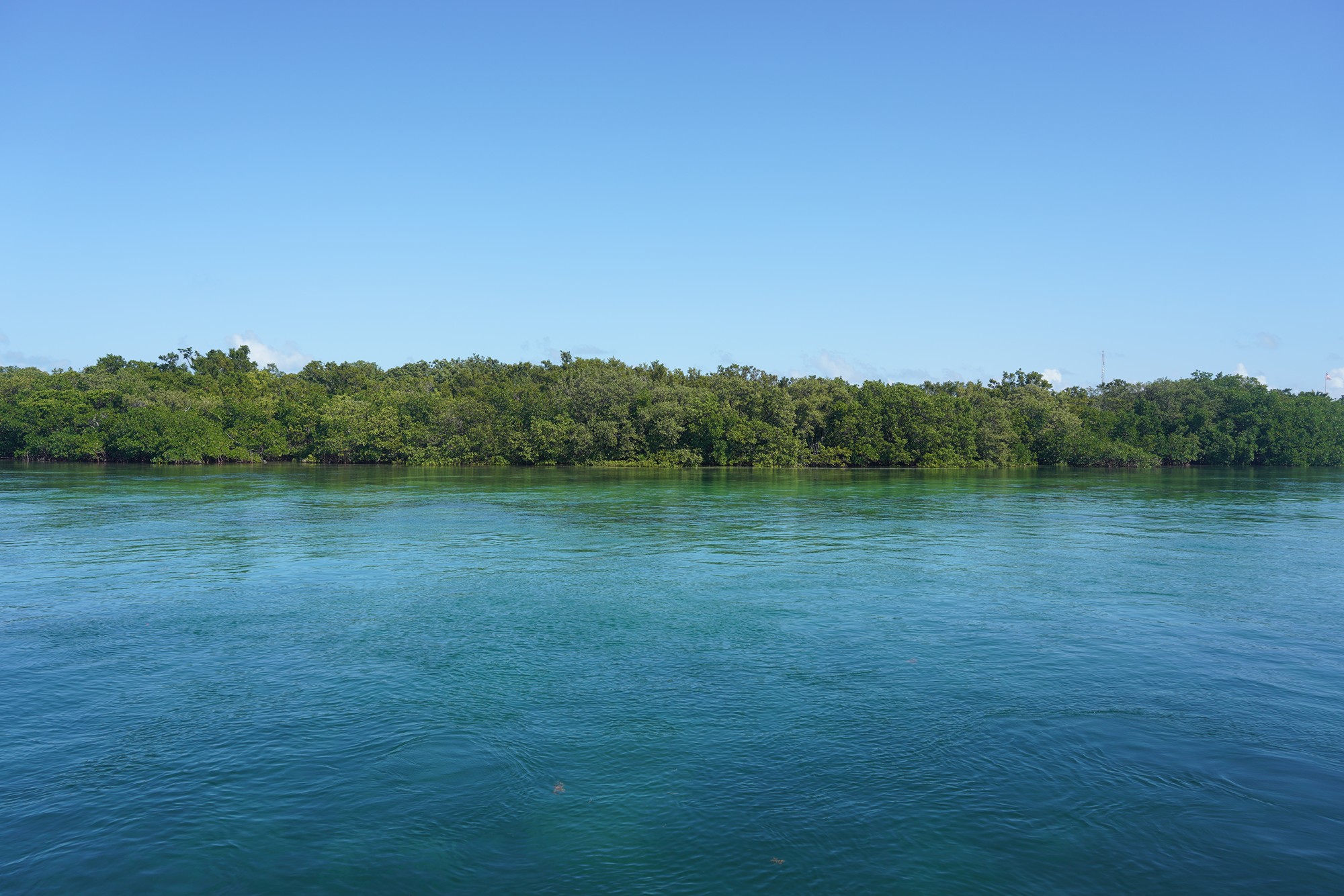 Biscayne National Park (12)