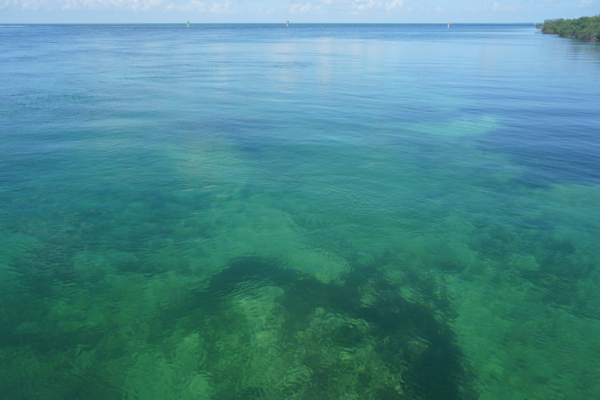 Biscayne National Park (14)