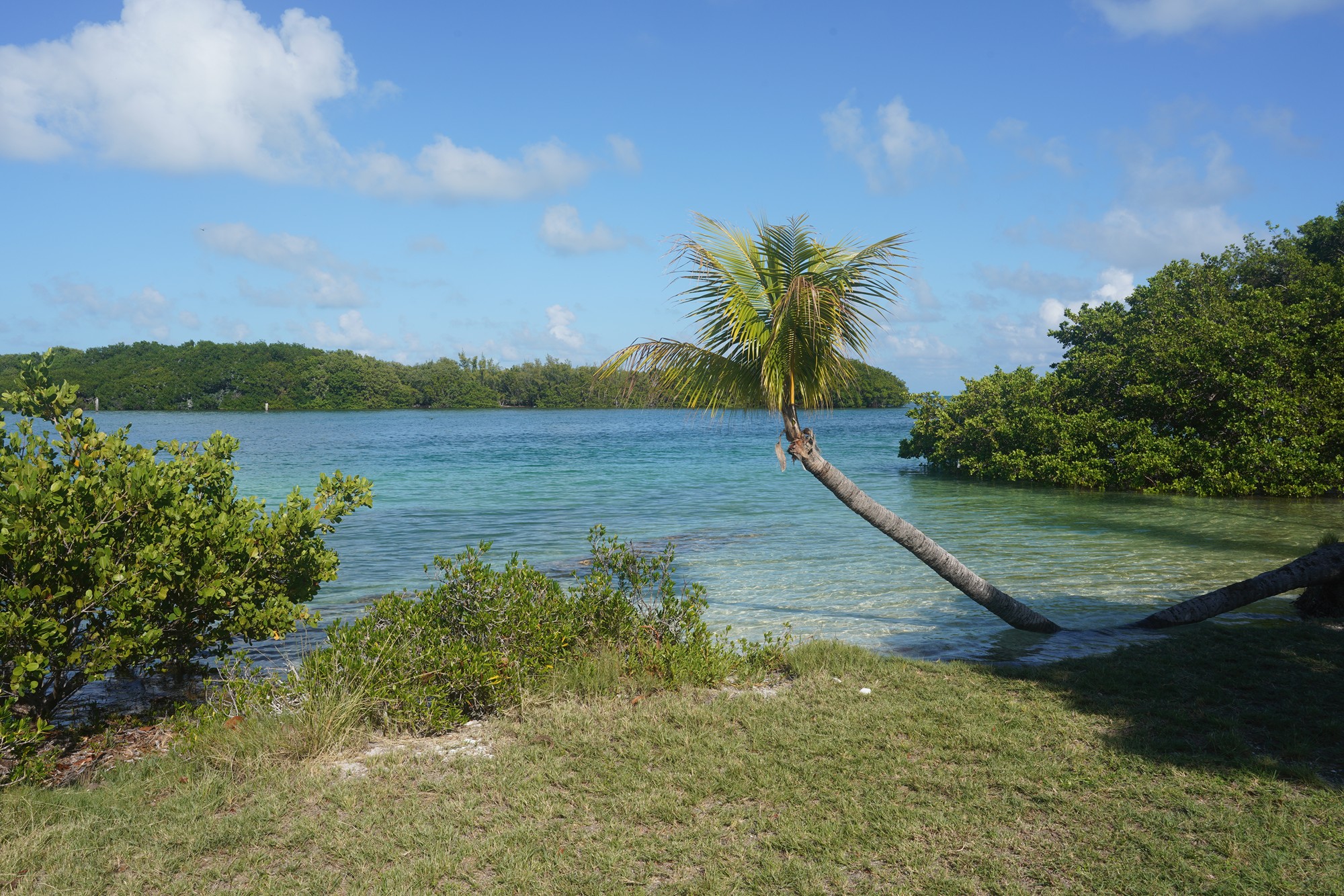 Biscayne National Park (34)