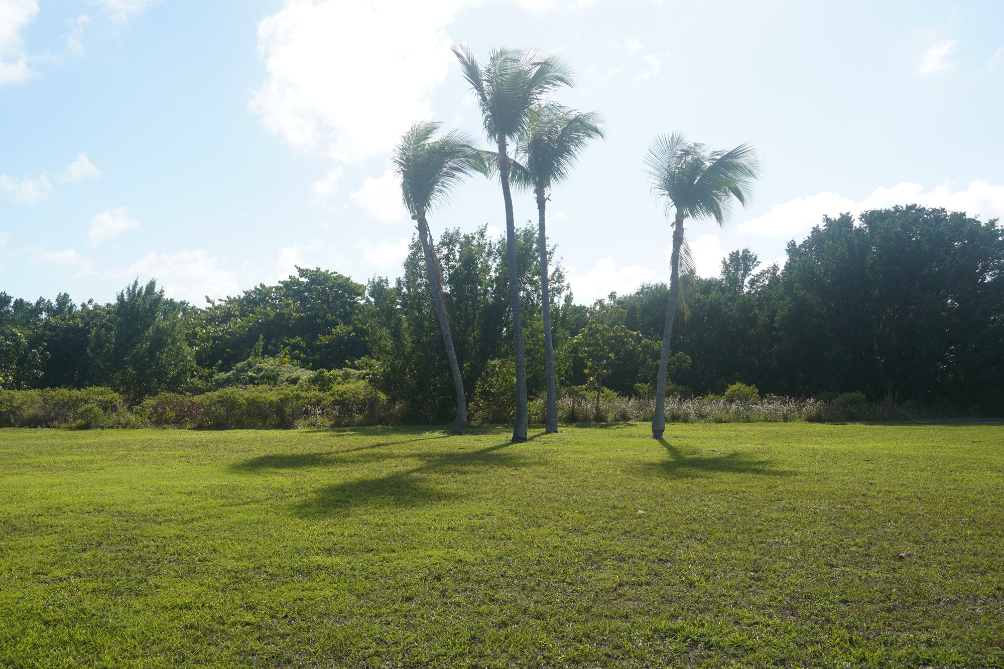 Biscayne National Park (37)
