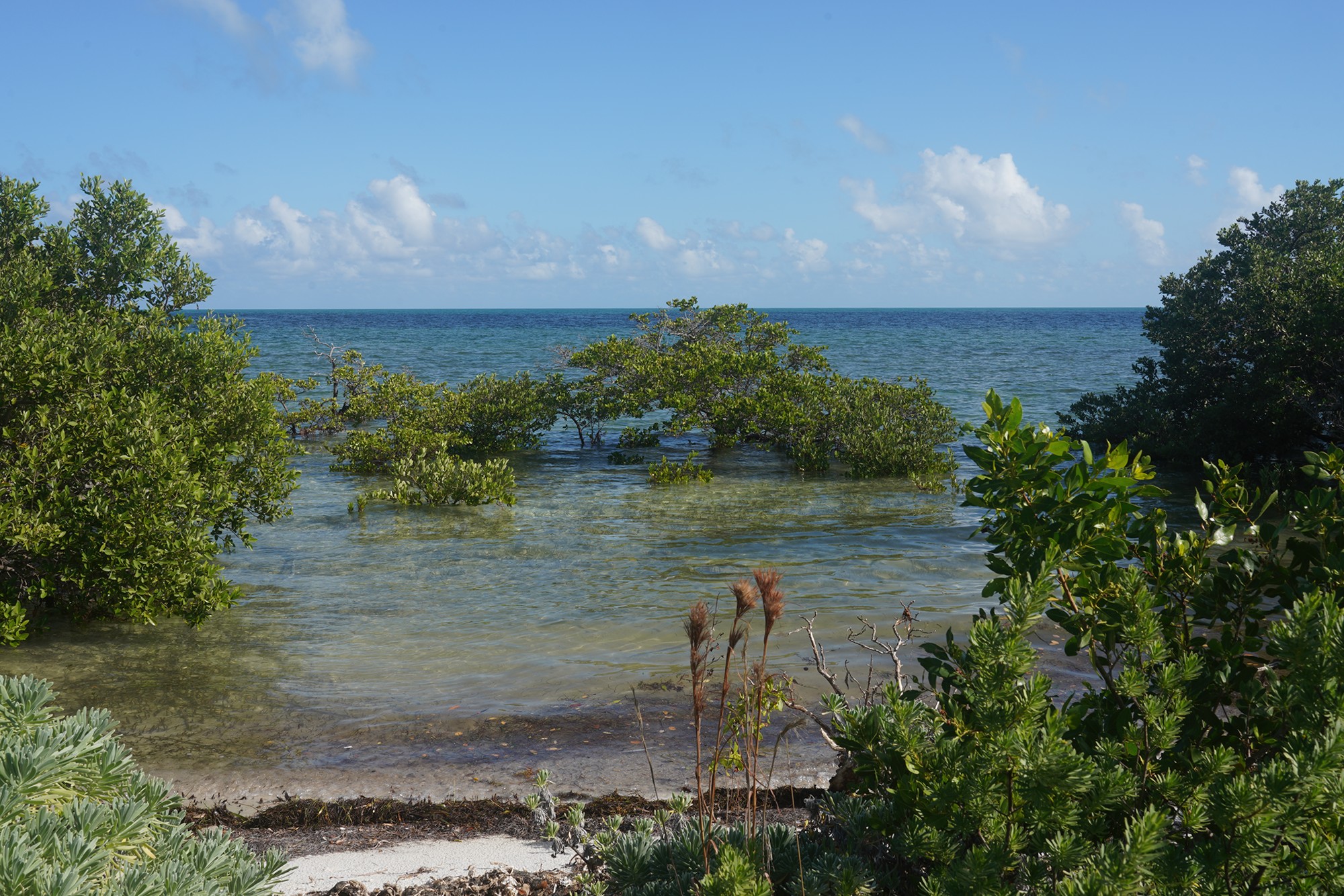 Biscayne National Park (39)