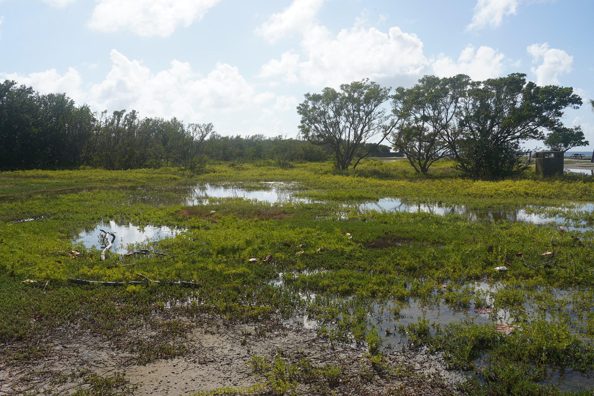 Biscayne National Park (43)