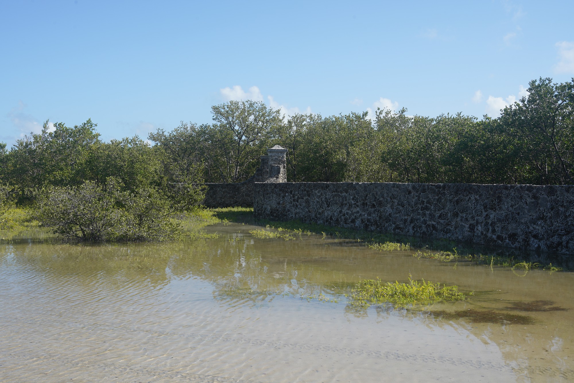 Biscayne National Park (45)