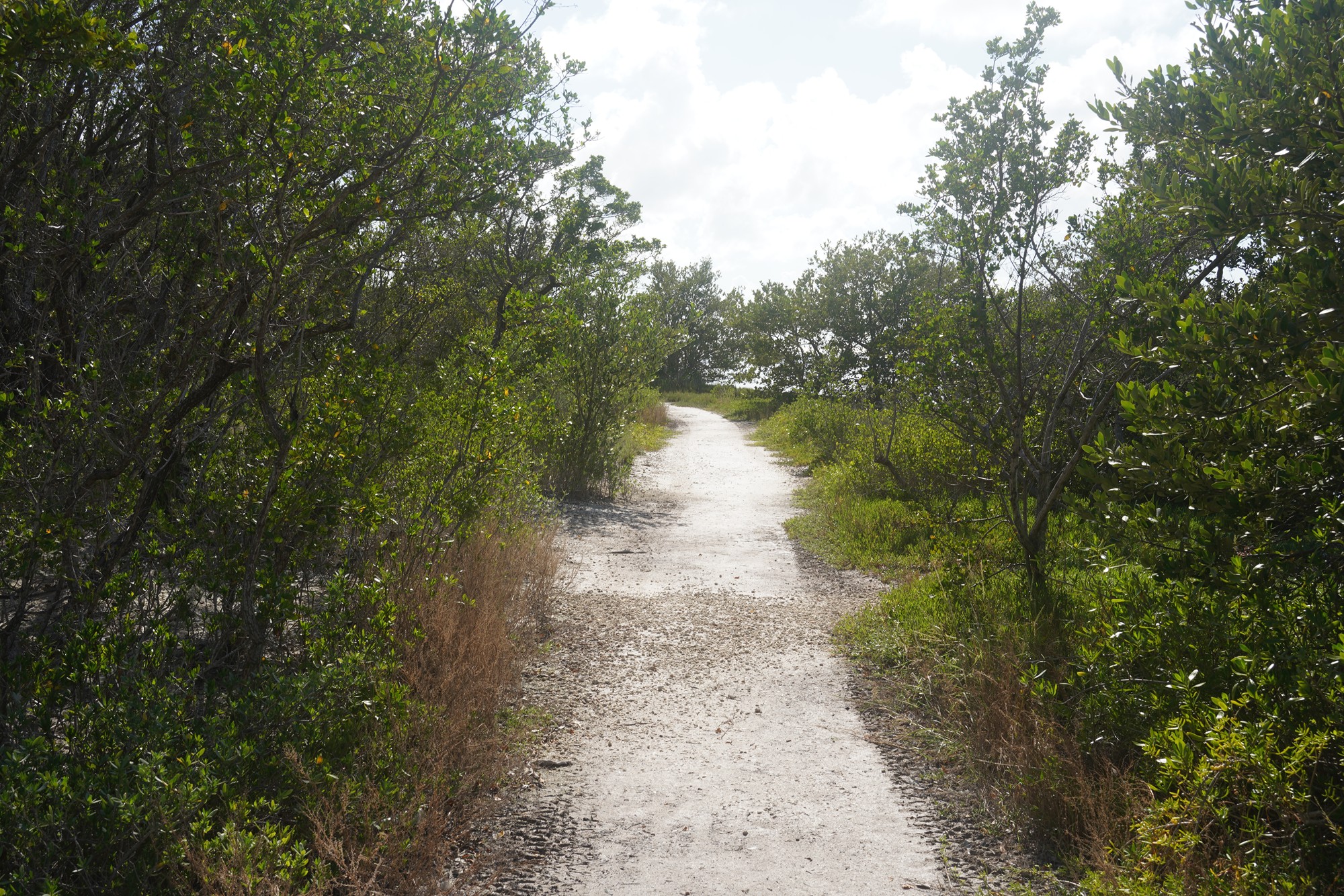 Biscayne National Park (47)