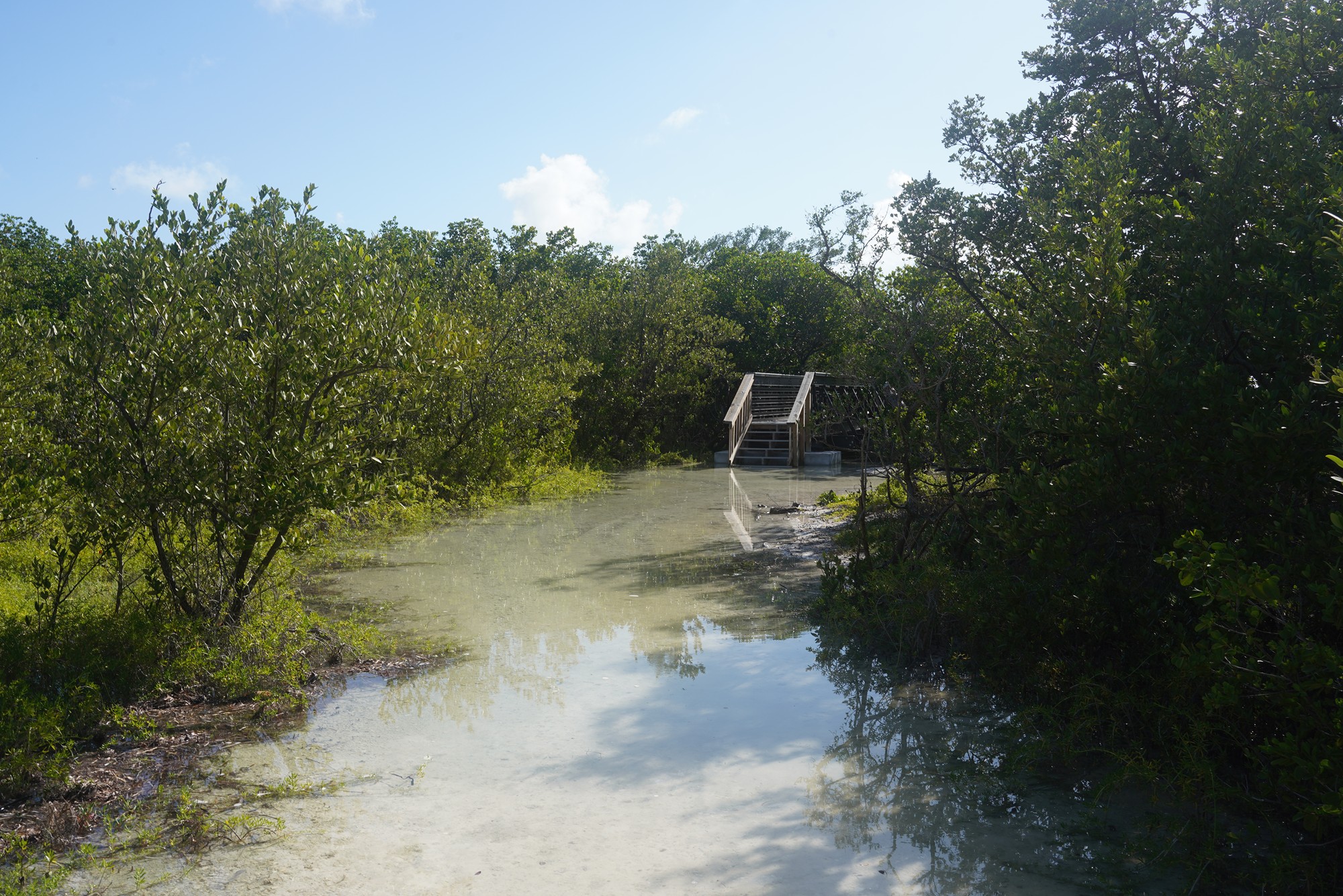 Biscayne National Park (48)