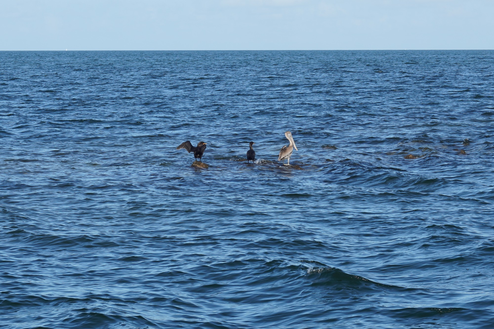 Biscayne National Park (51)
