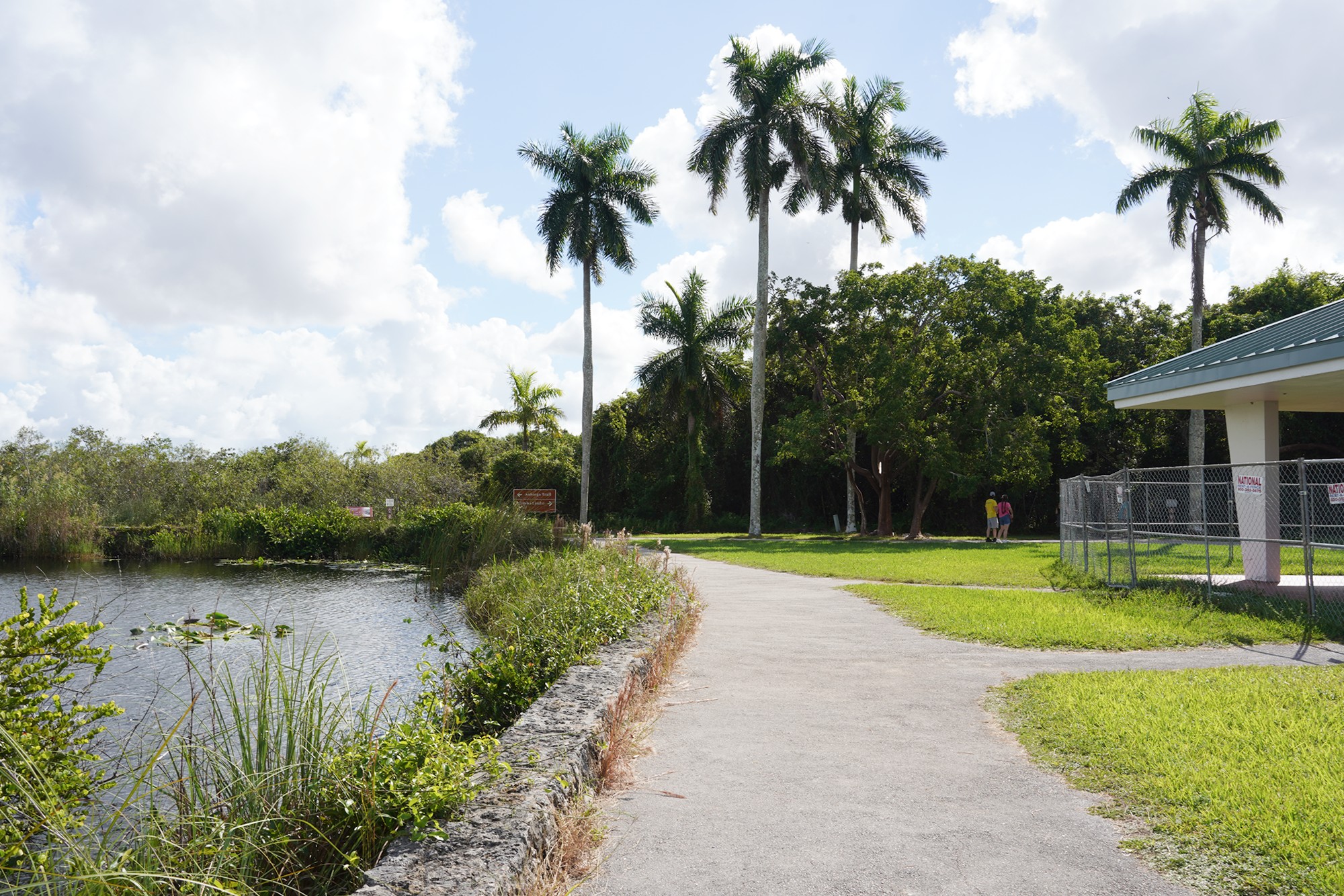 Everglades National Park (10)
