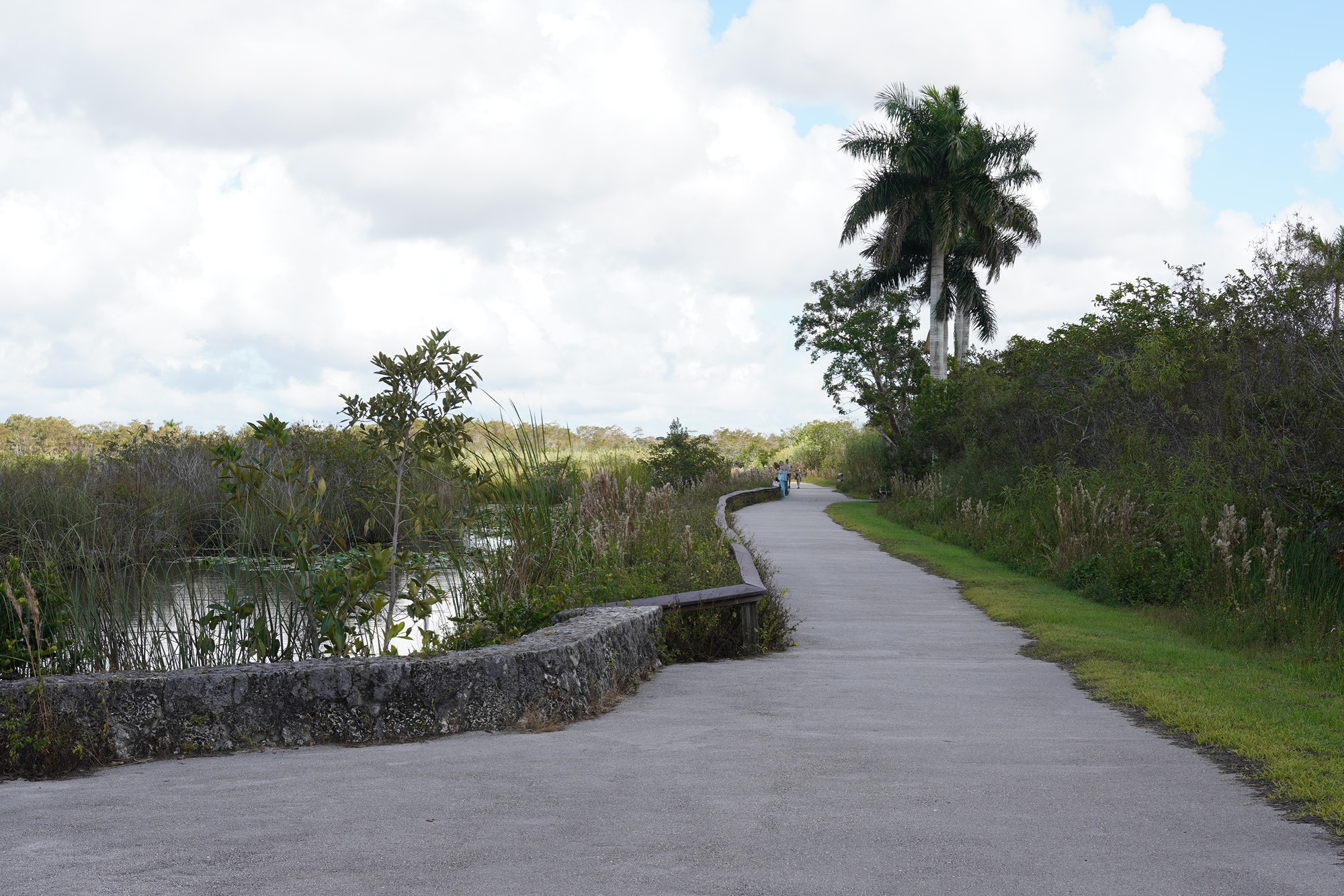 Everglades National Park (11)