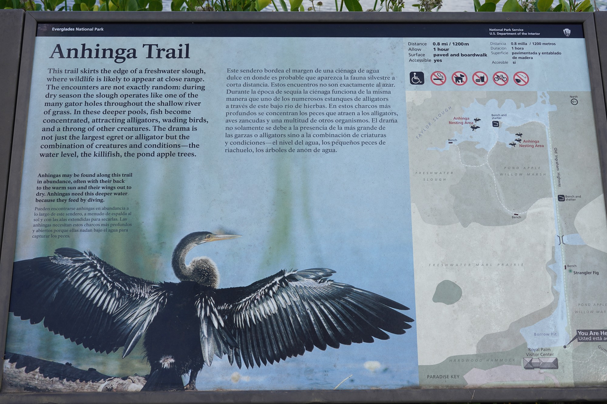Everglades National Park (13)