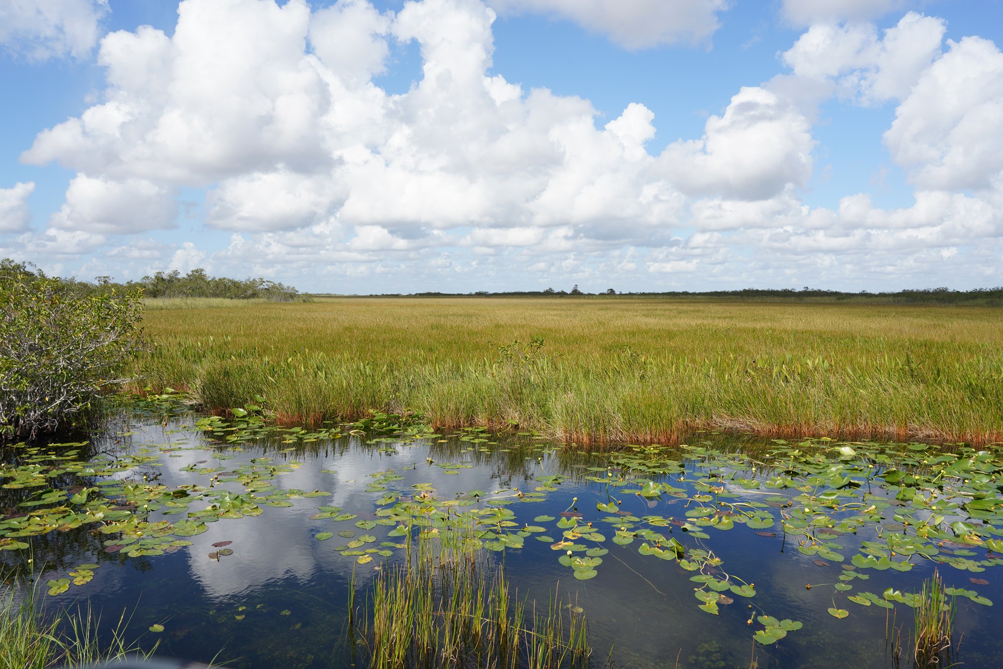 Everglades National Park (14)