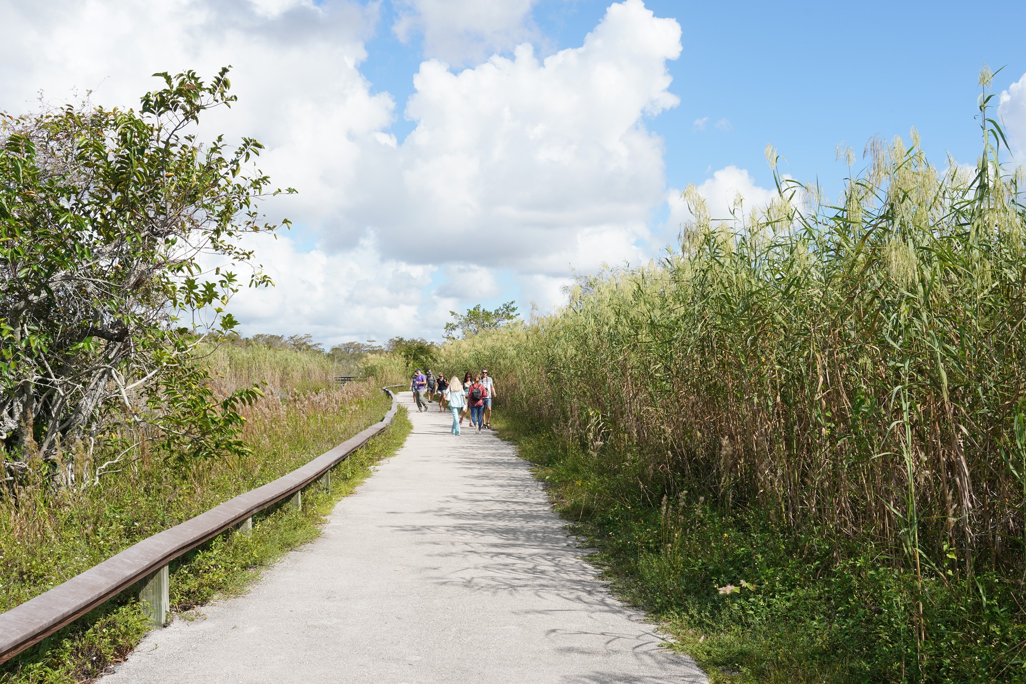 Everglades National Park (16)