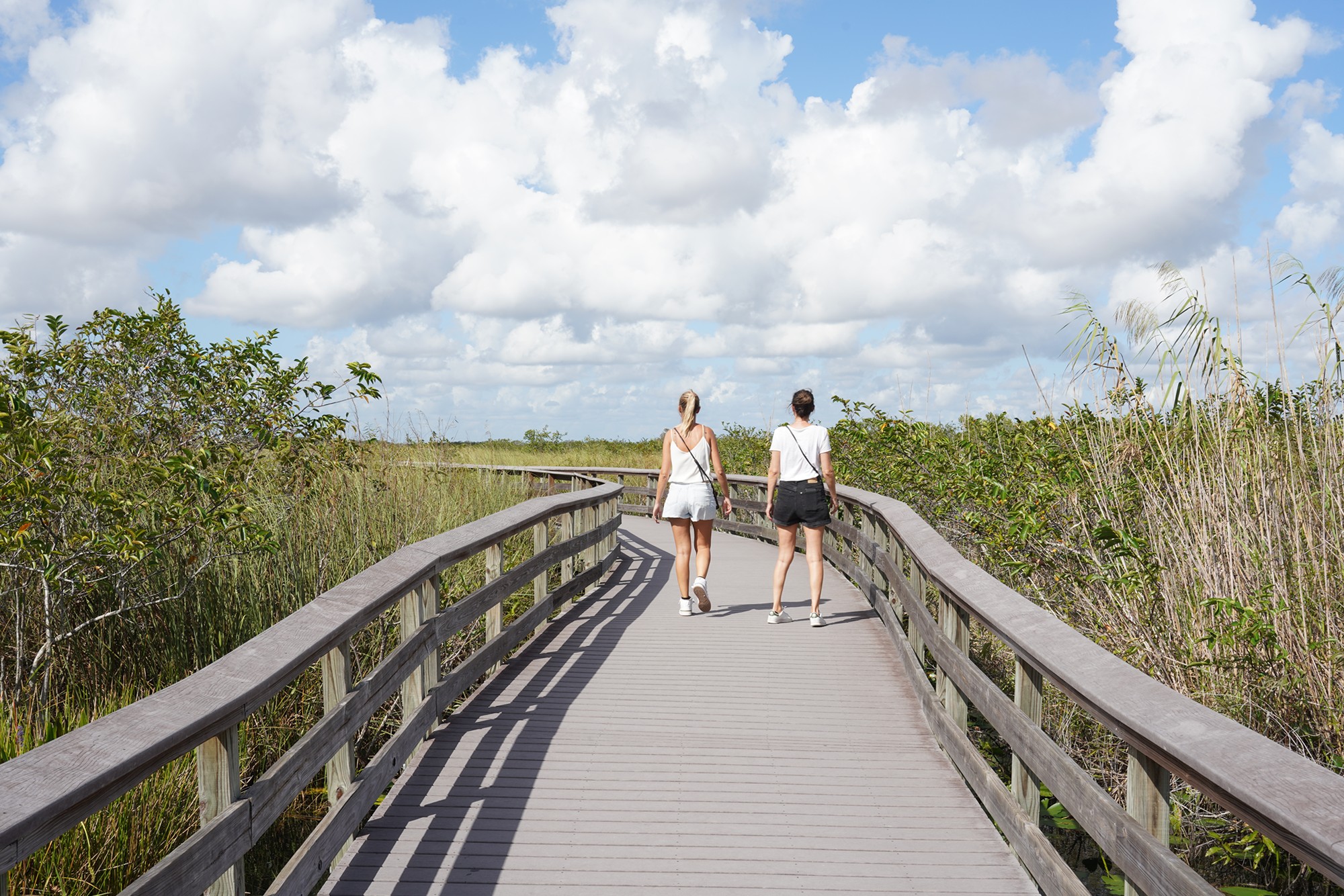 Everglades National Park (17)