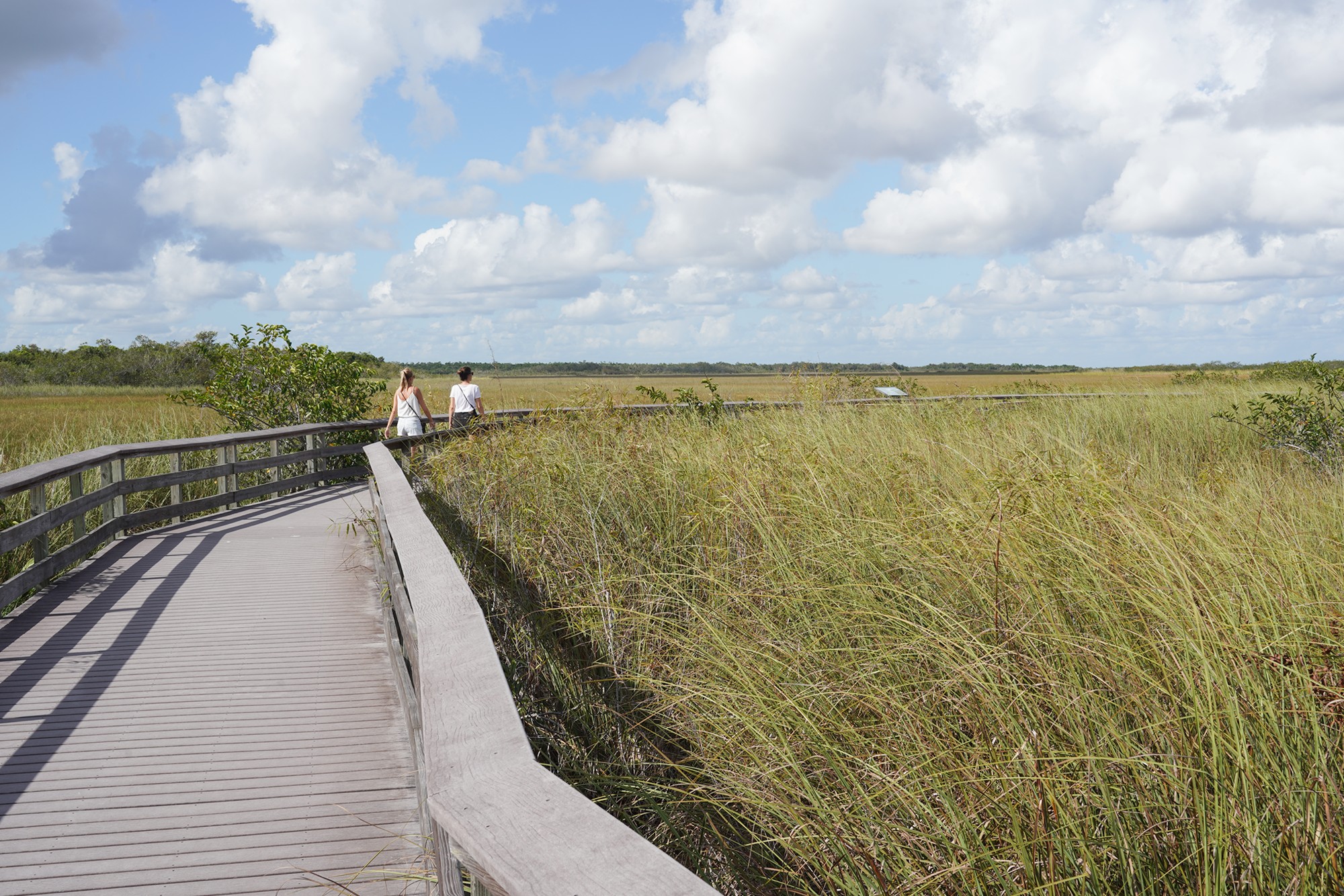 Everglades National Park (18)
