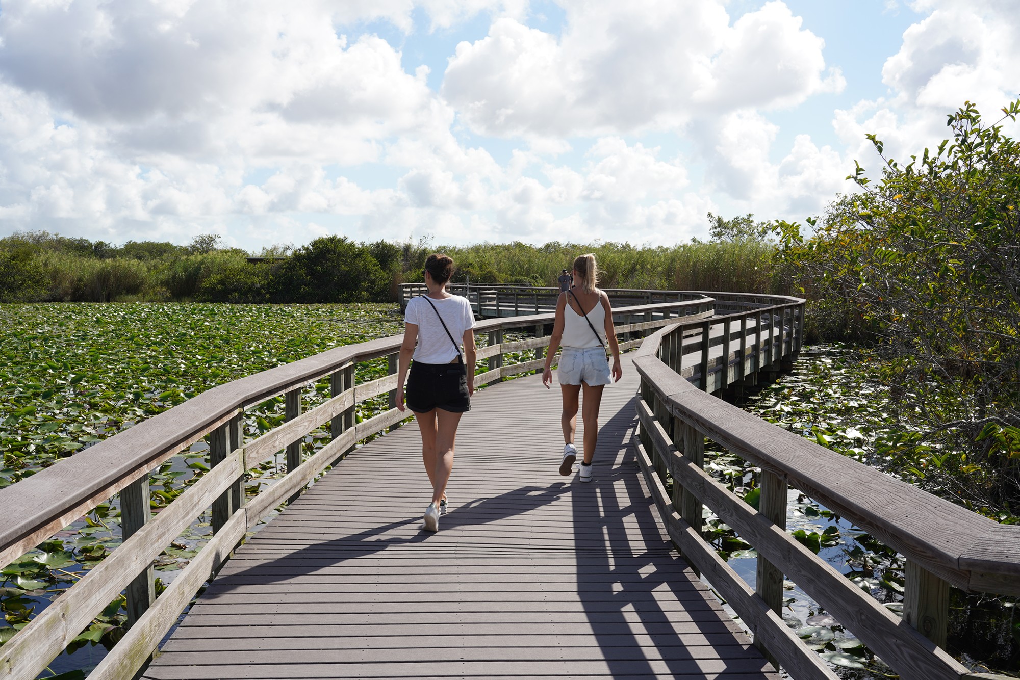 Everglades National Park (25)