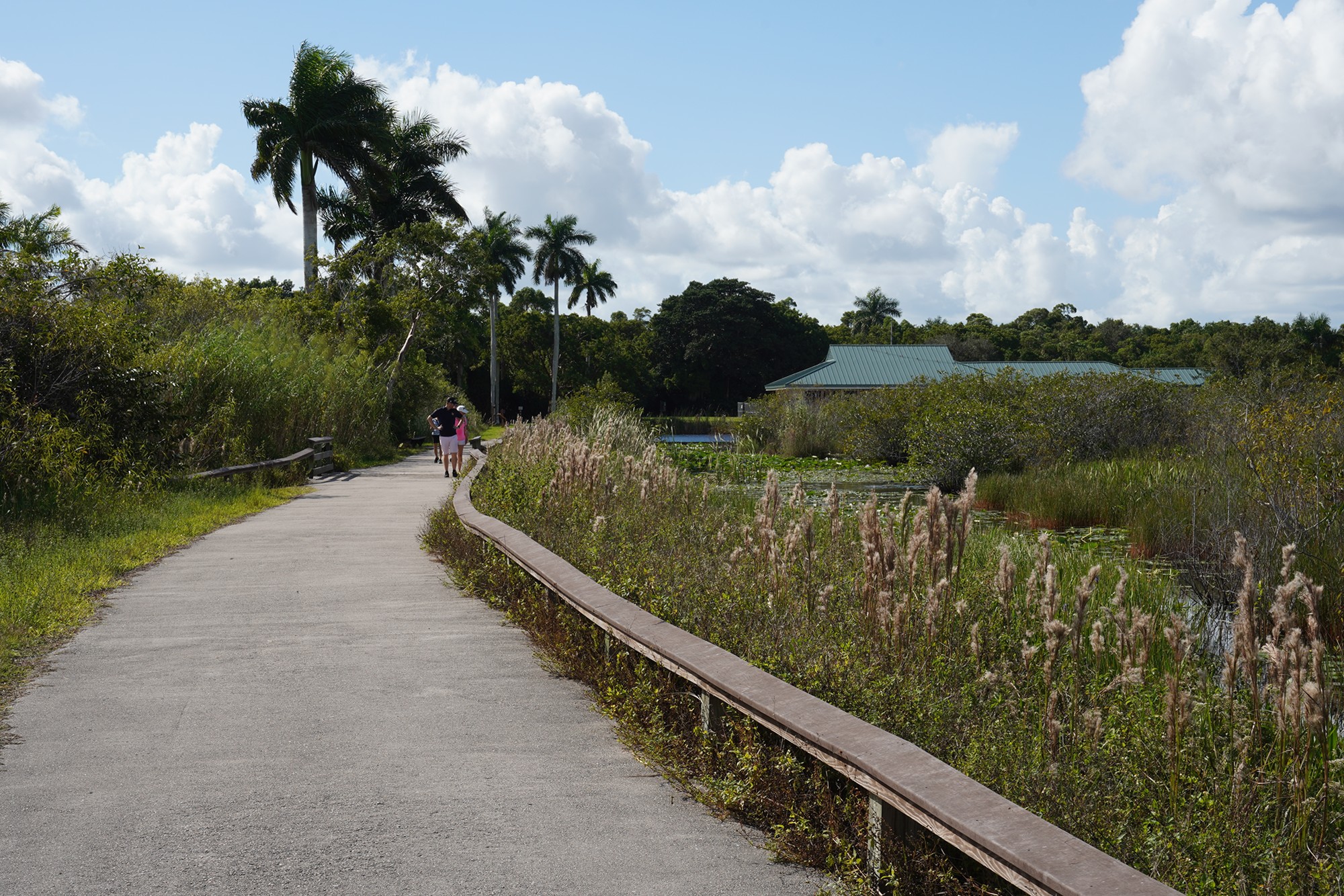 Everglades National Park (27)