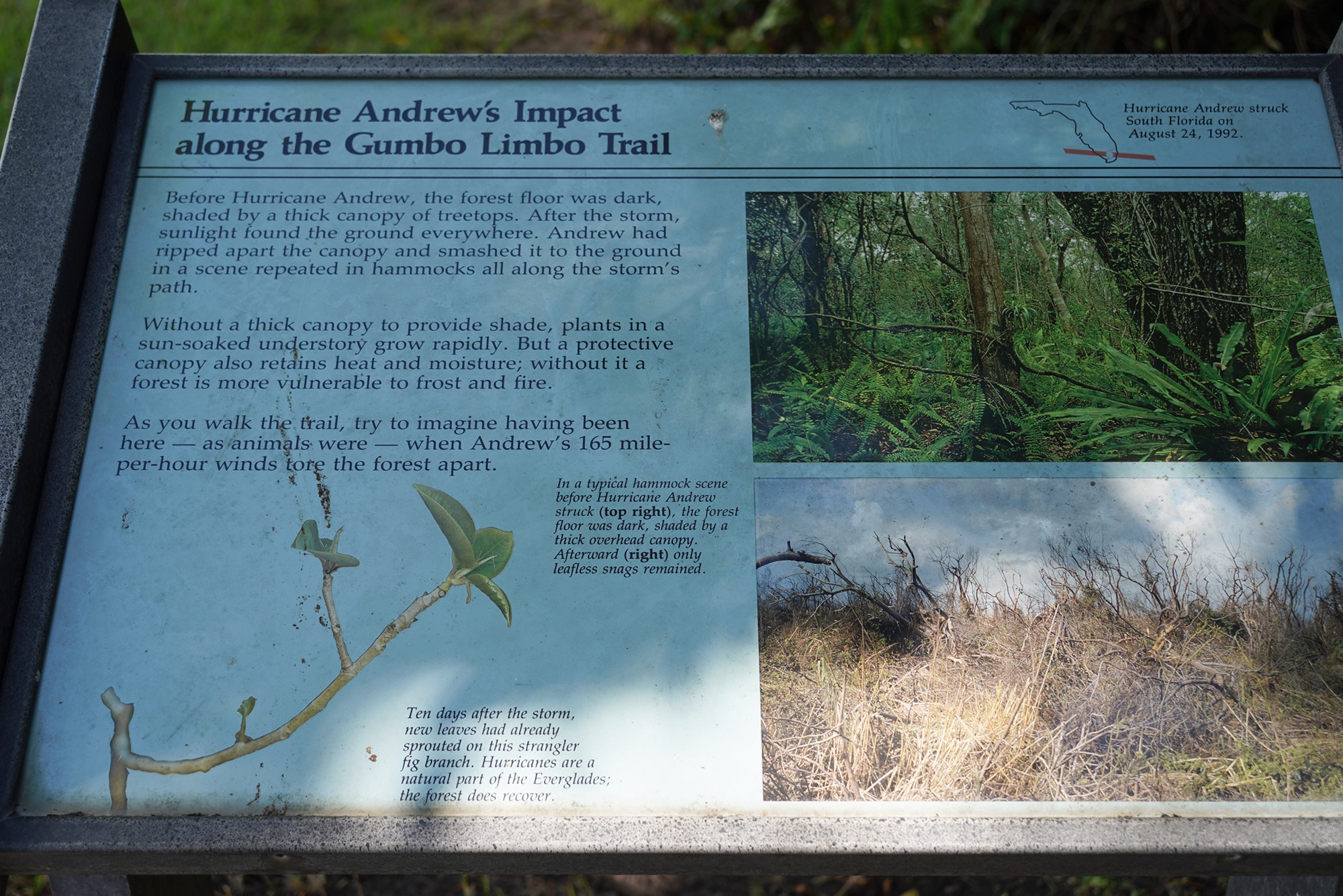 Everglades National Park (28)